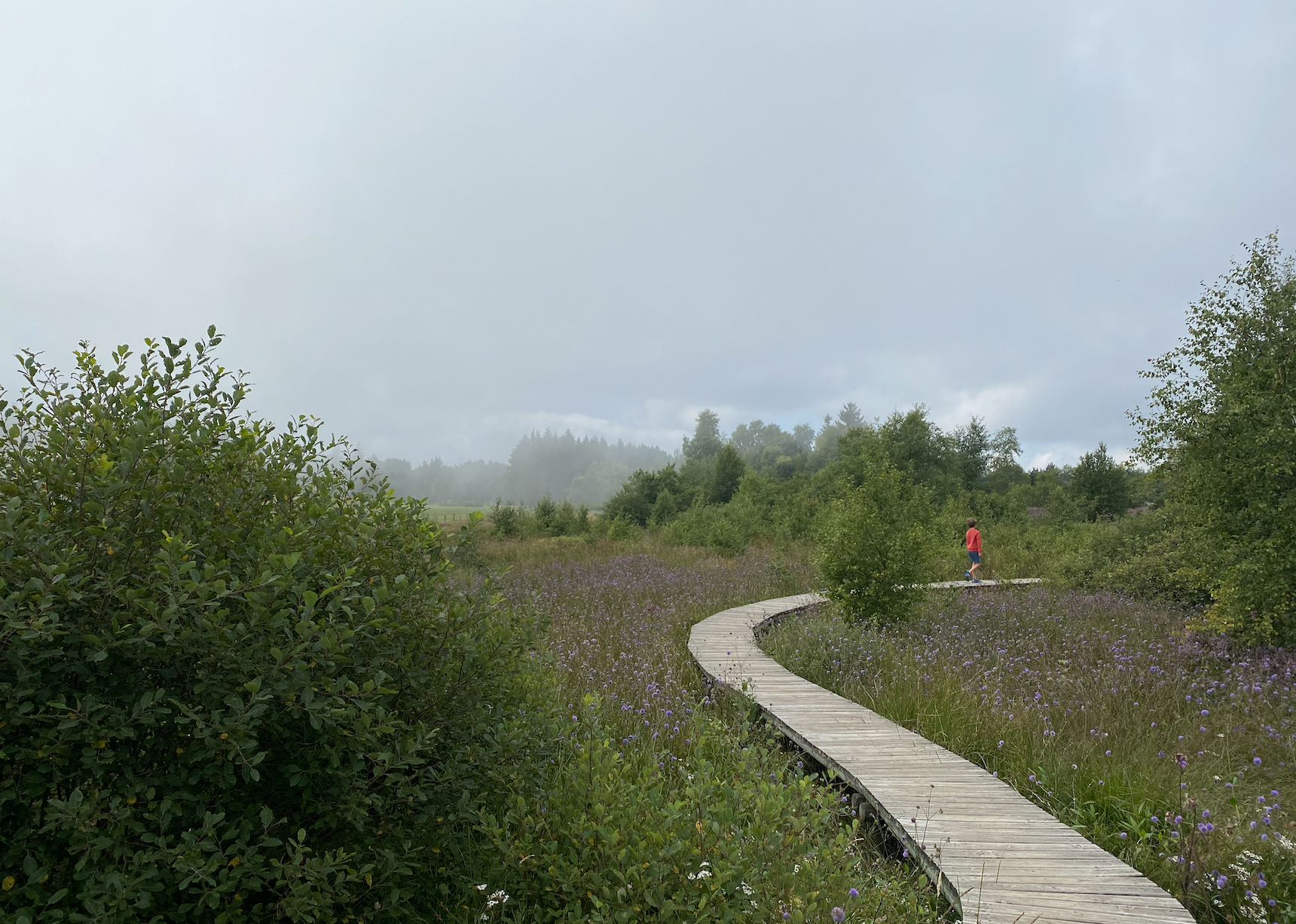 wandeling plateau de la verrerie.png