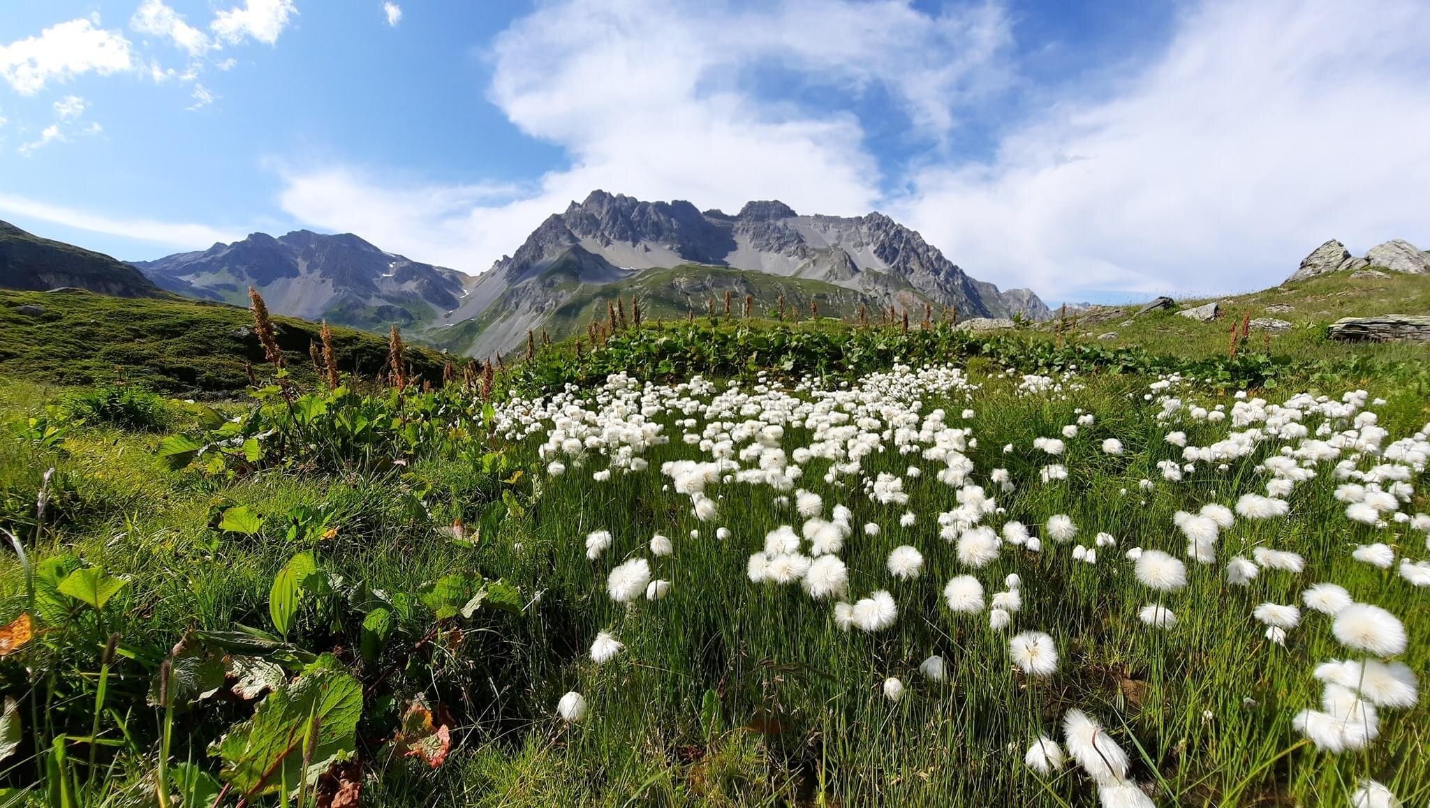 Huttentocht met kinderen in de Vanoise