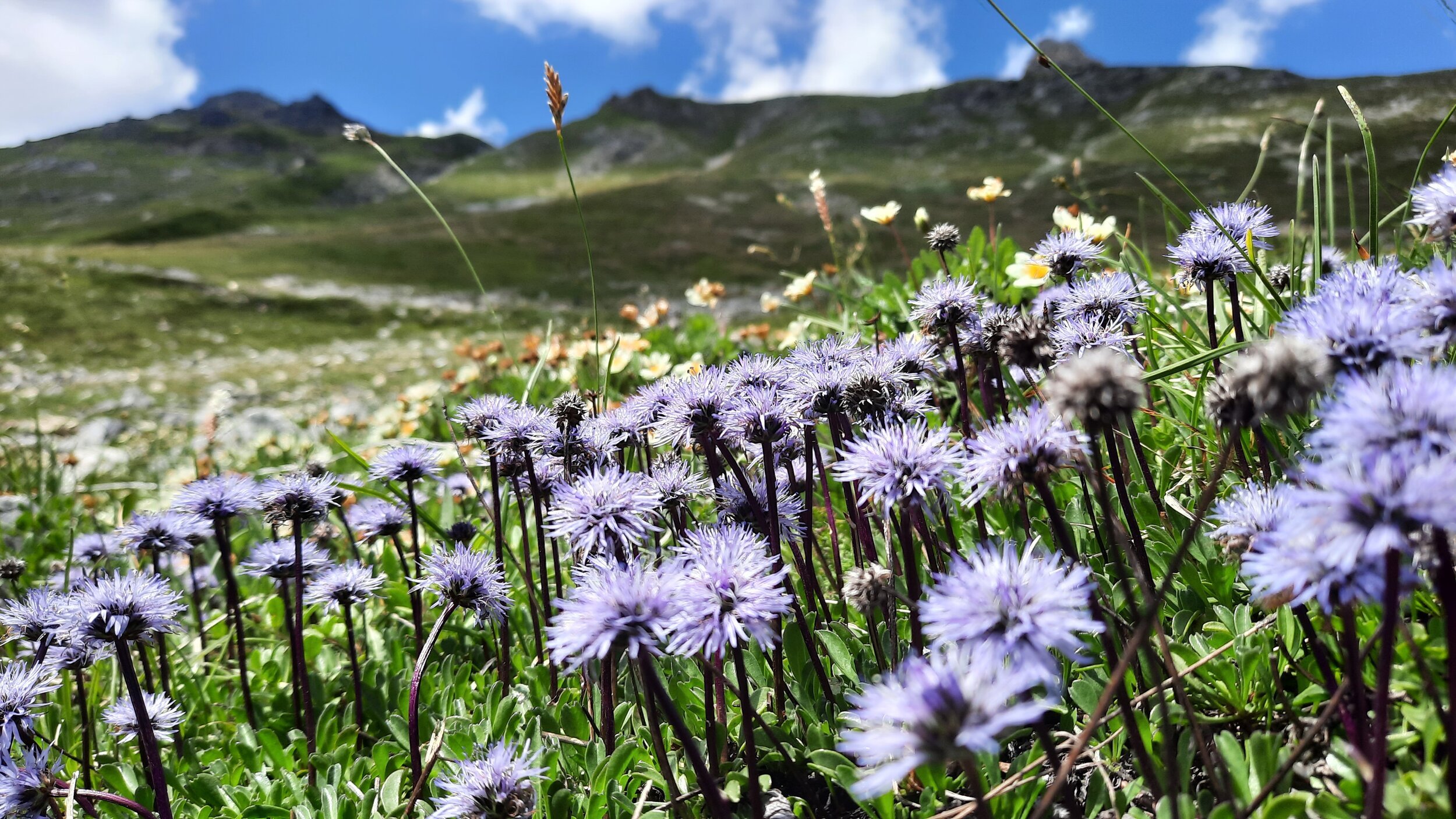 huttentocht vanoise