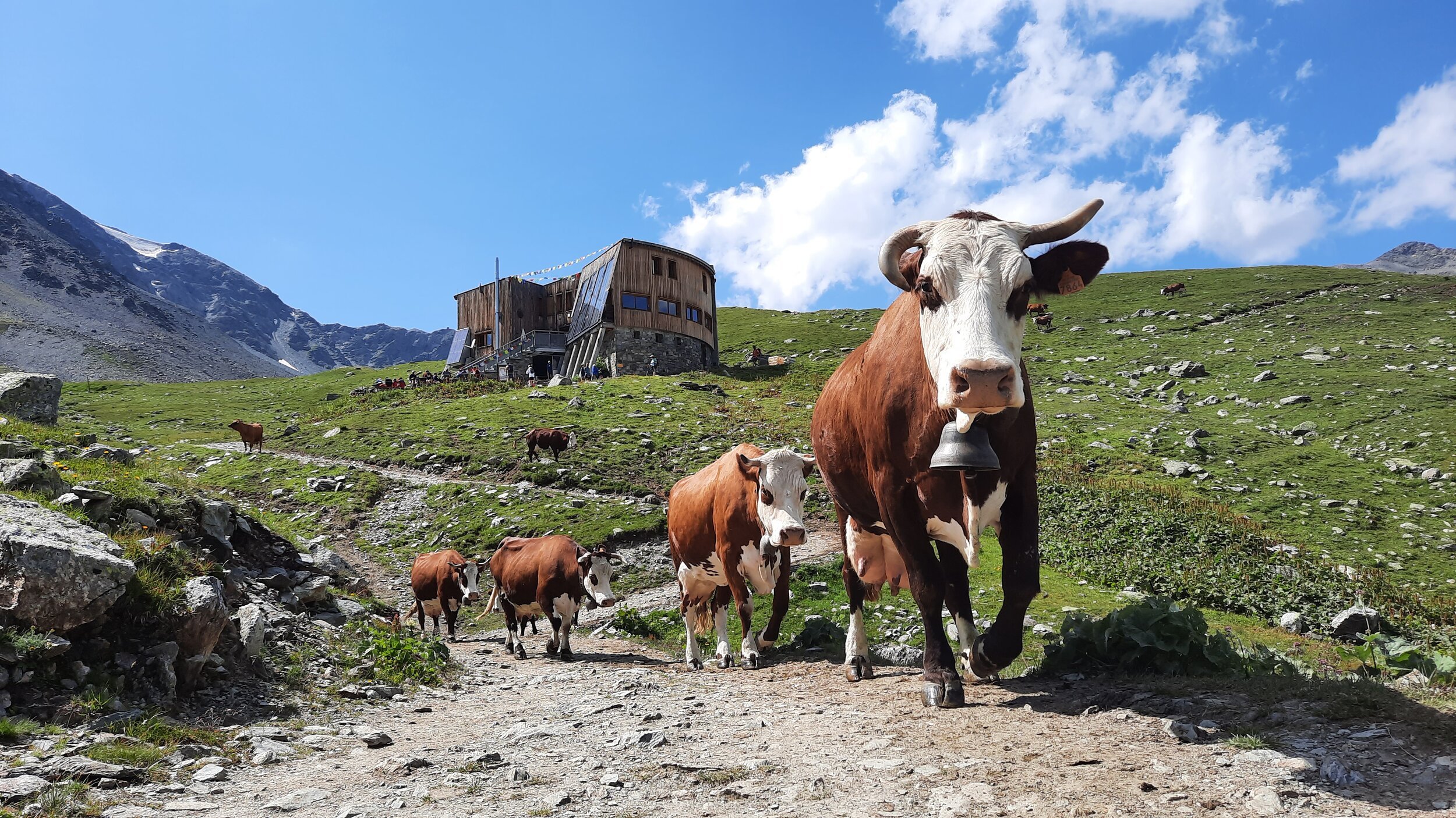 huttentocht vanoise