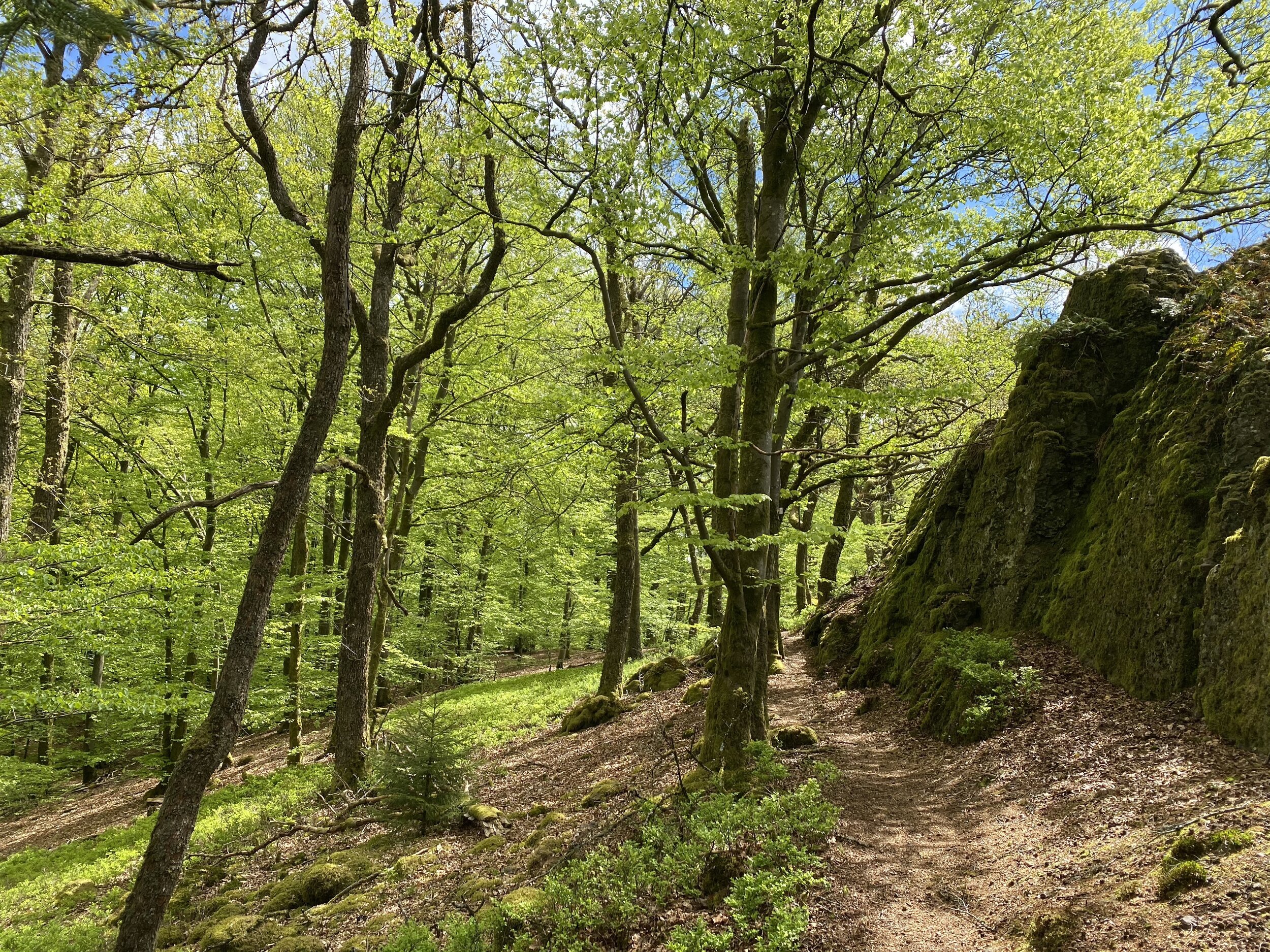 avontuurlijk wandelen roche a l'appel.JPG