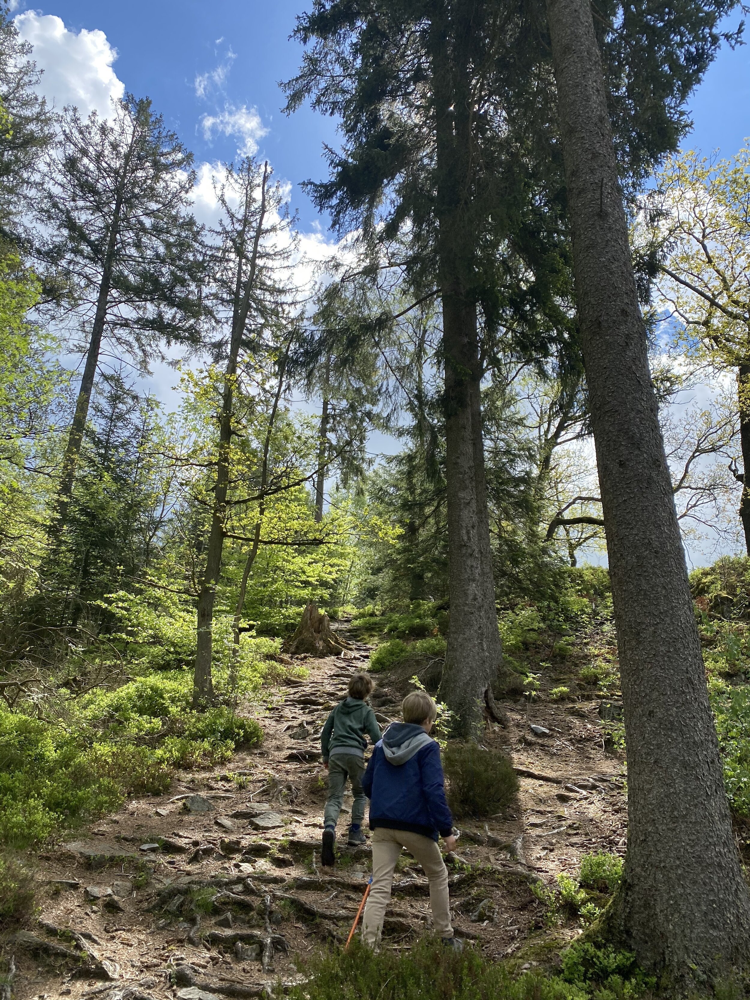 wandelen roche a l'appel.JPG