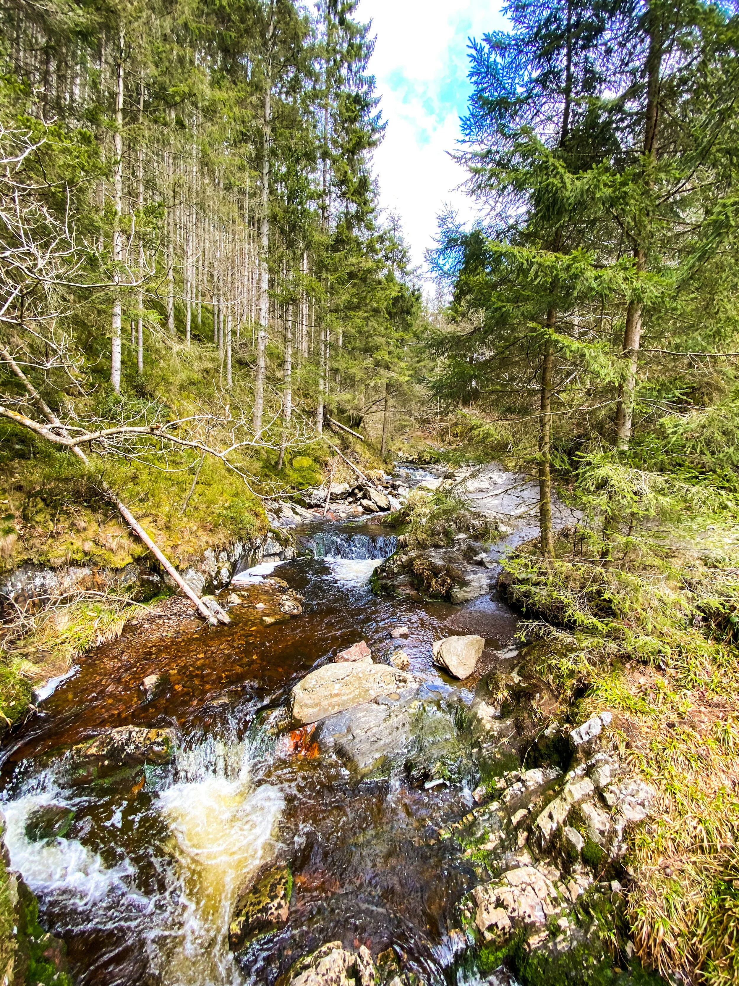 rivier tros marets.JPG