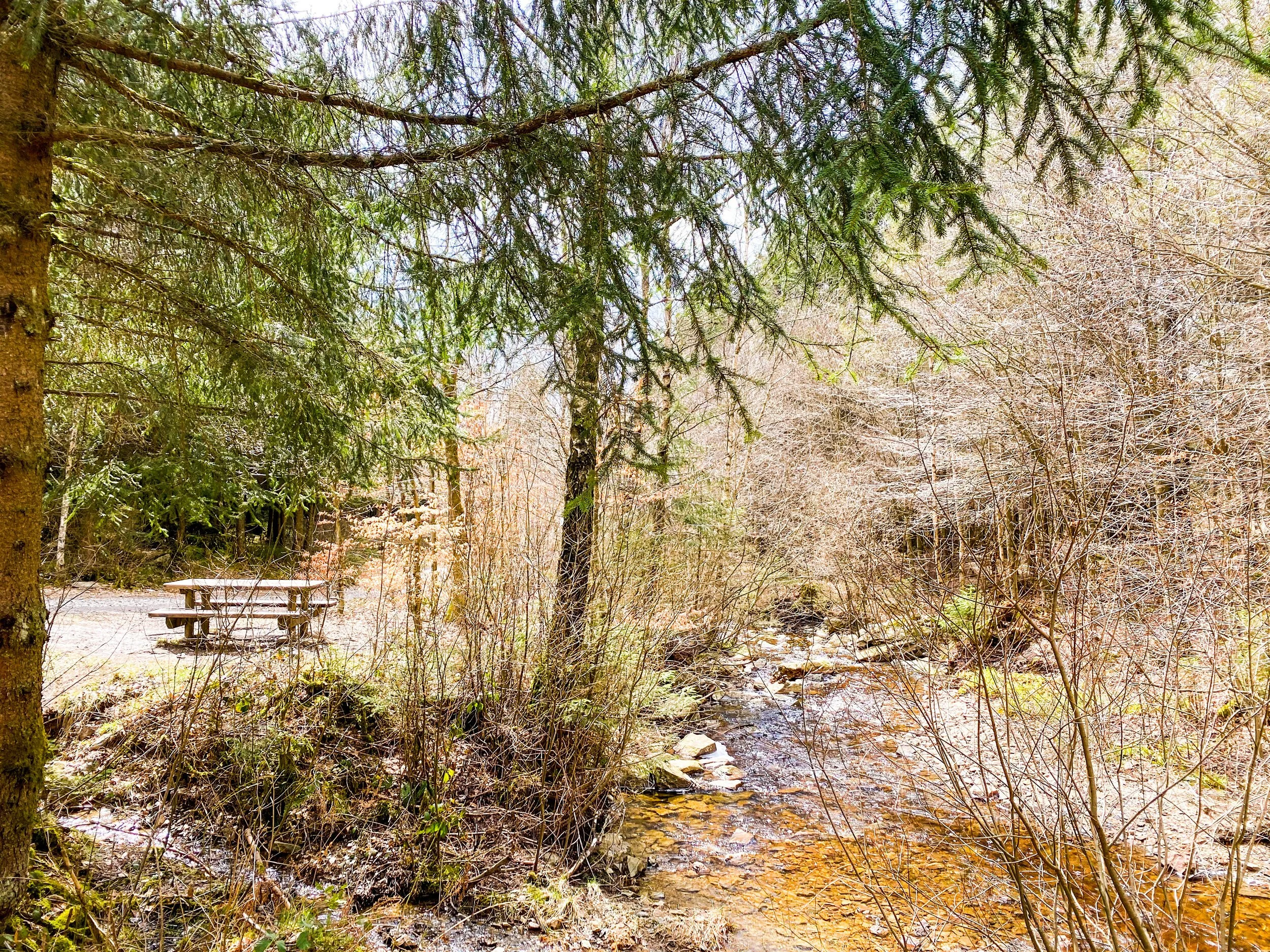 wandelen tros marets beverce.JPG