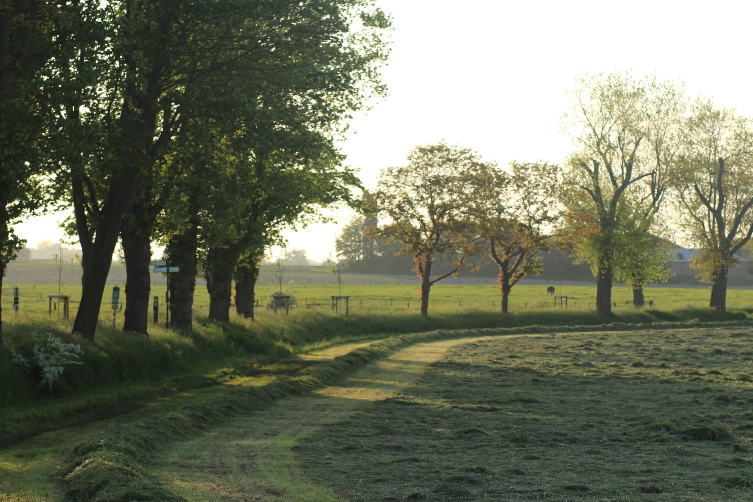 camping westhoek natuur.jpeg