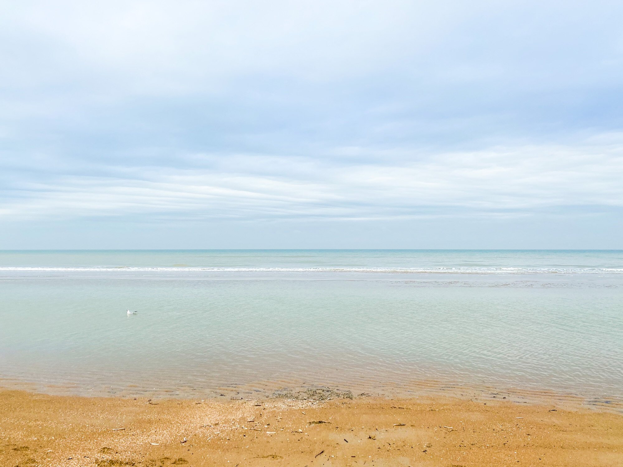 wandelen belgische kust