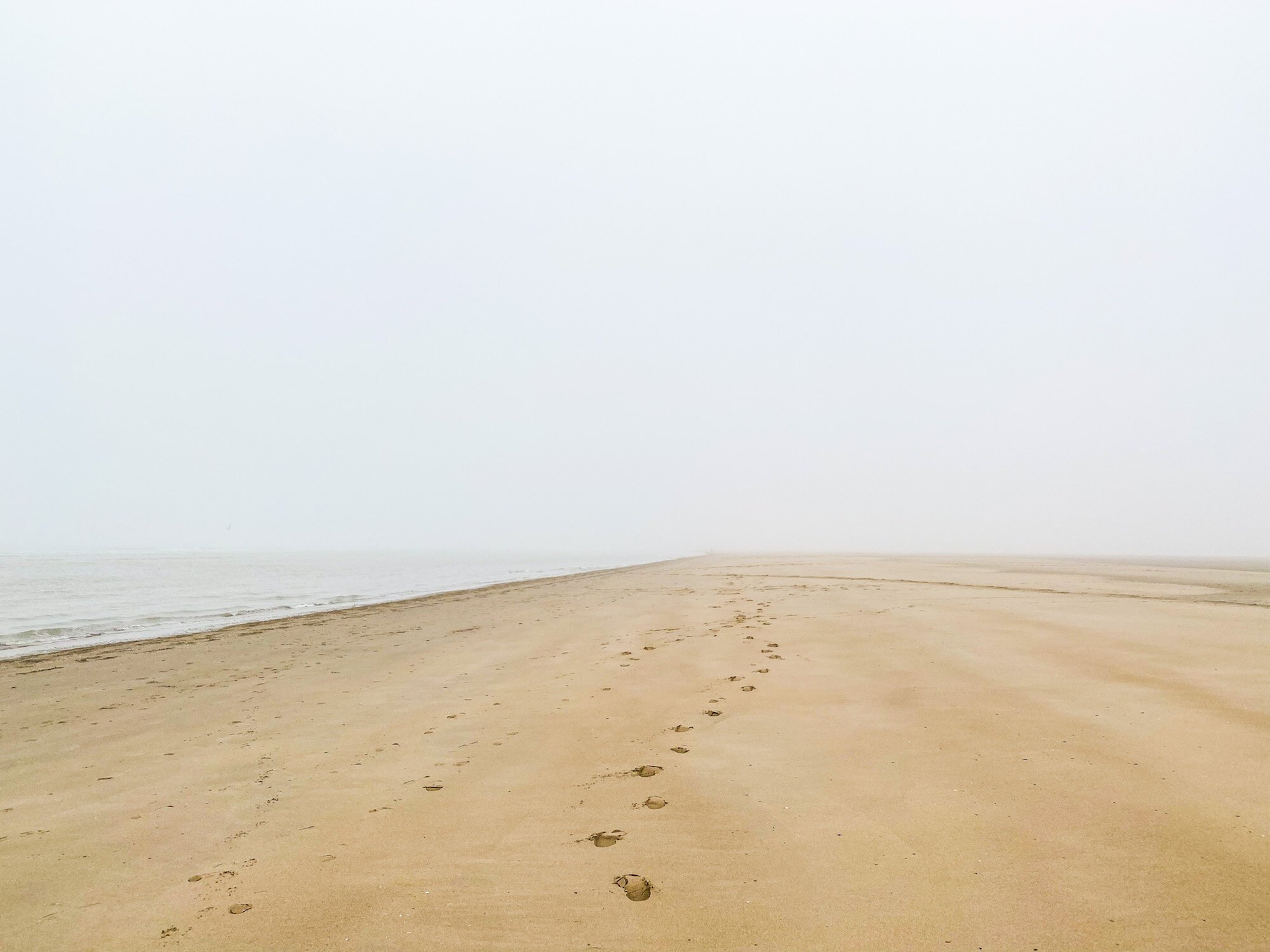 zeebrugge strand