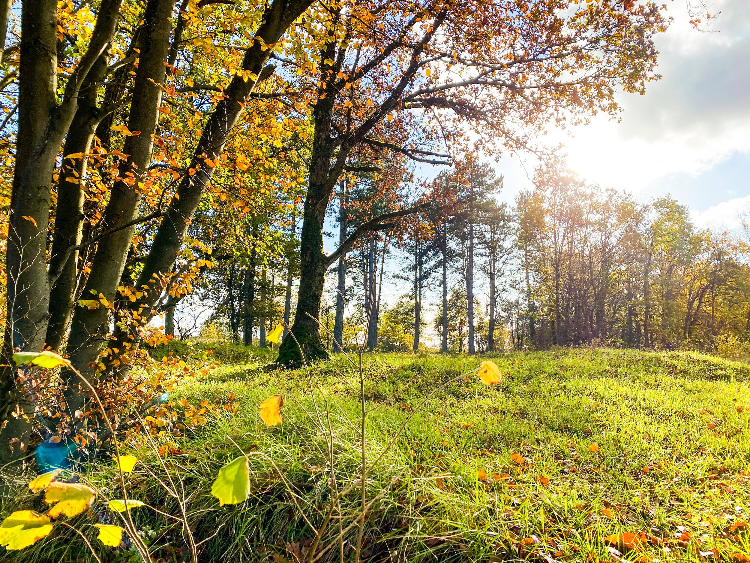 wandeling nismes.JPG