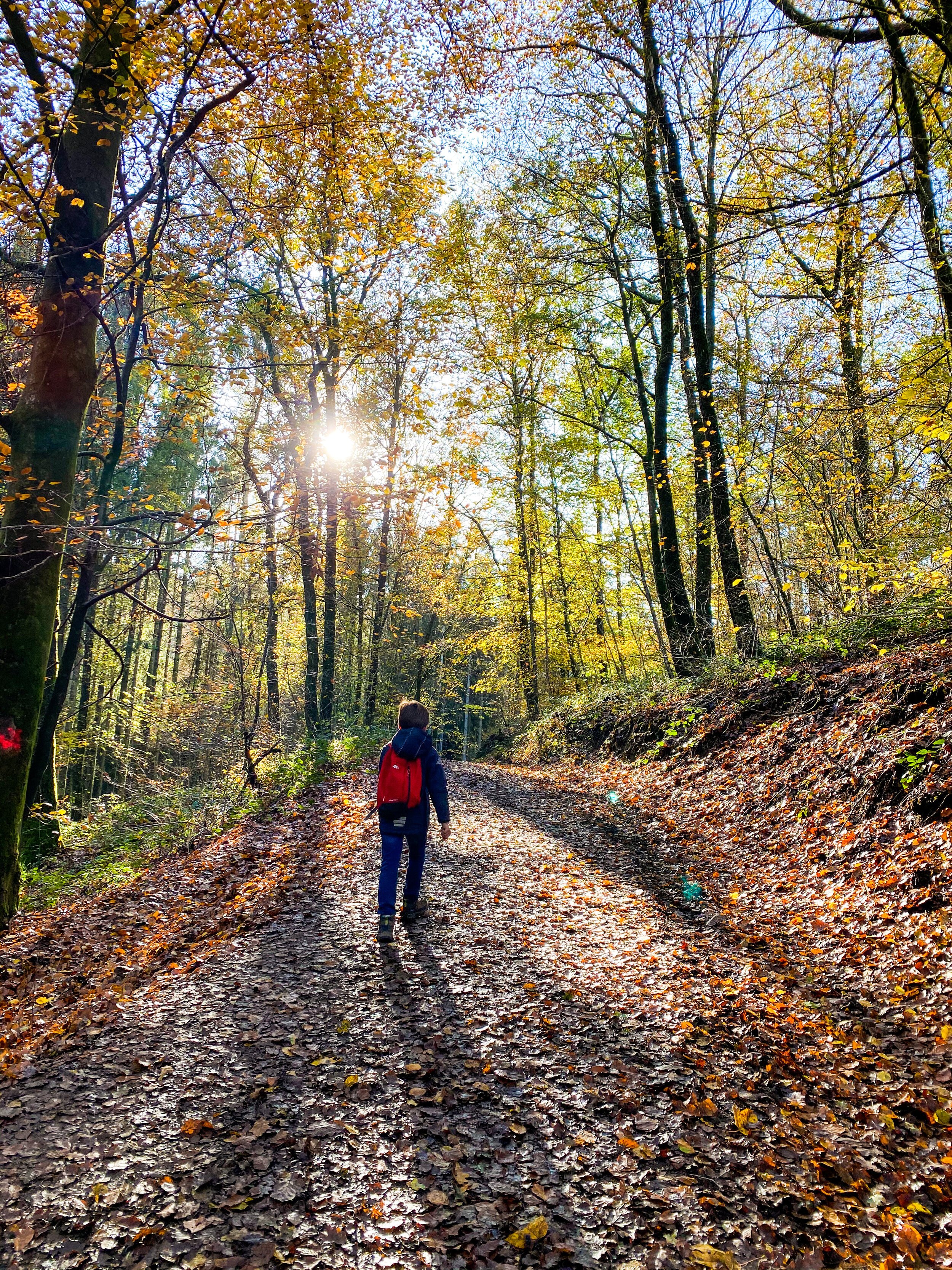 herfstwandeling rochehaut.JPG