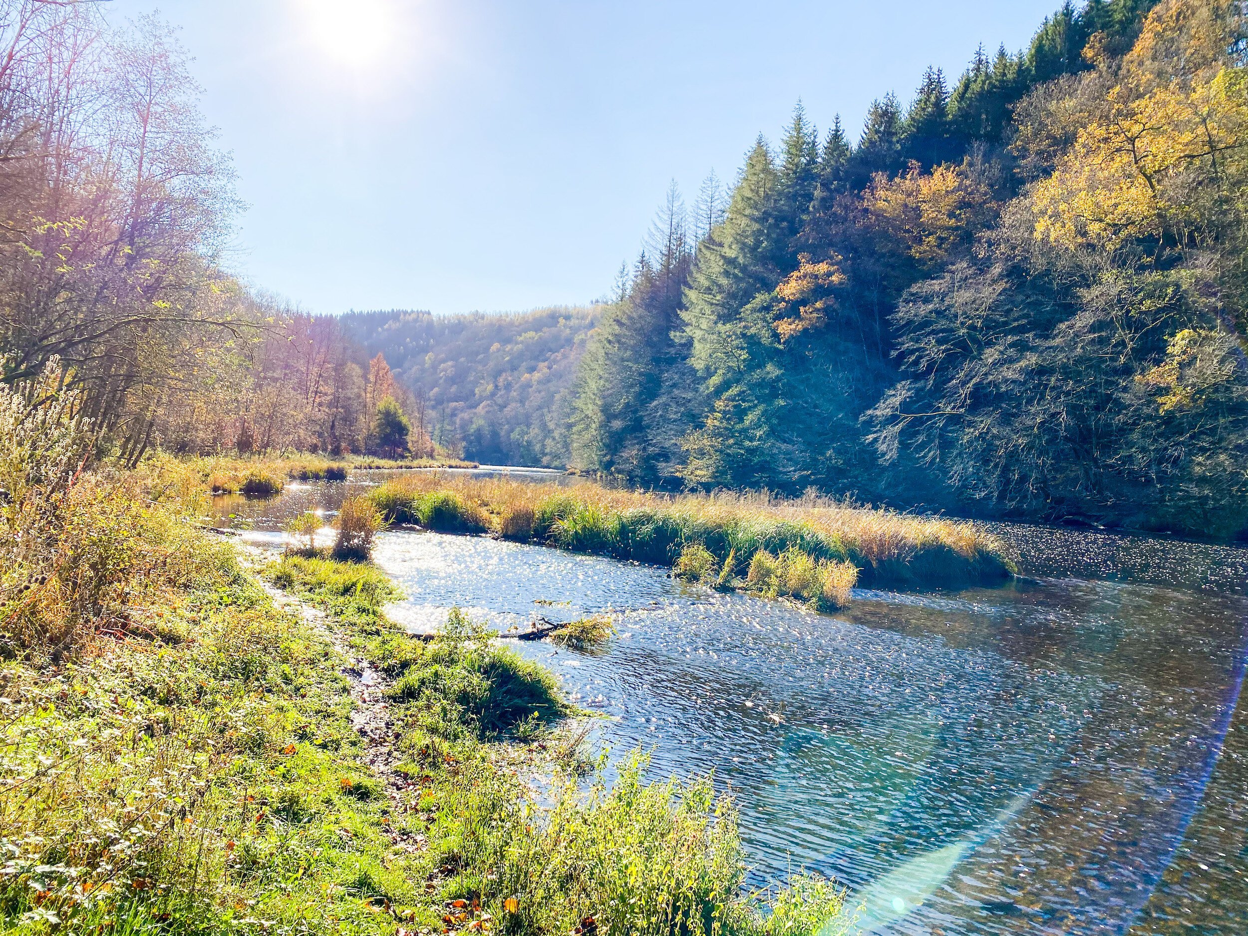 wandelen ourthe ardennen.JPG