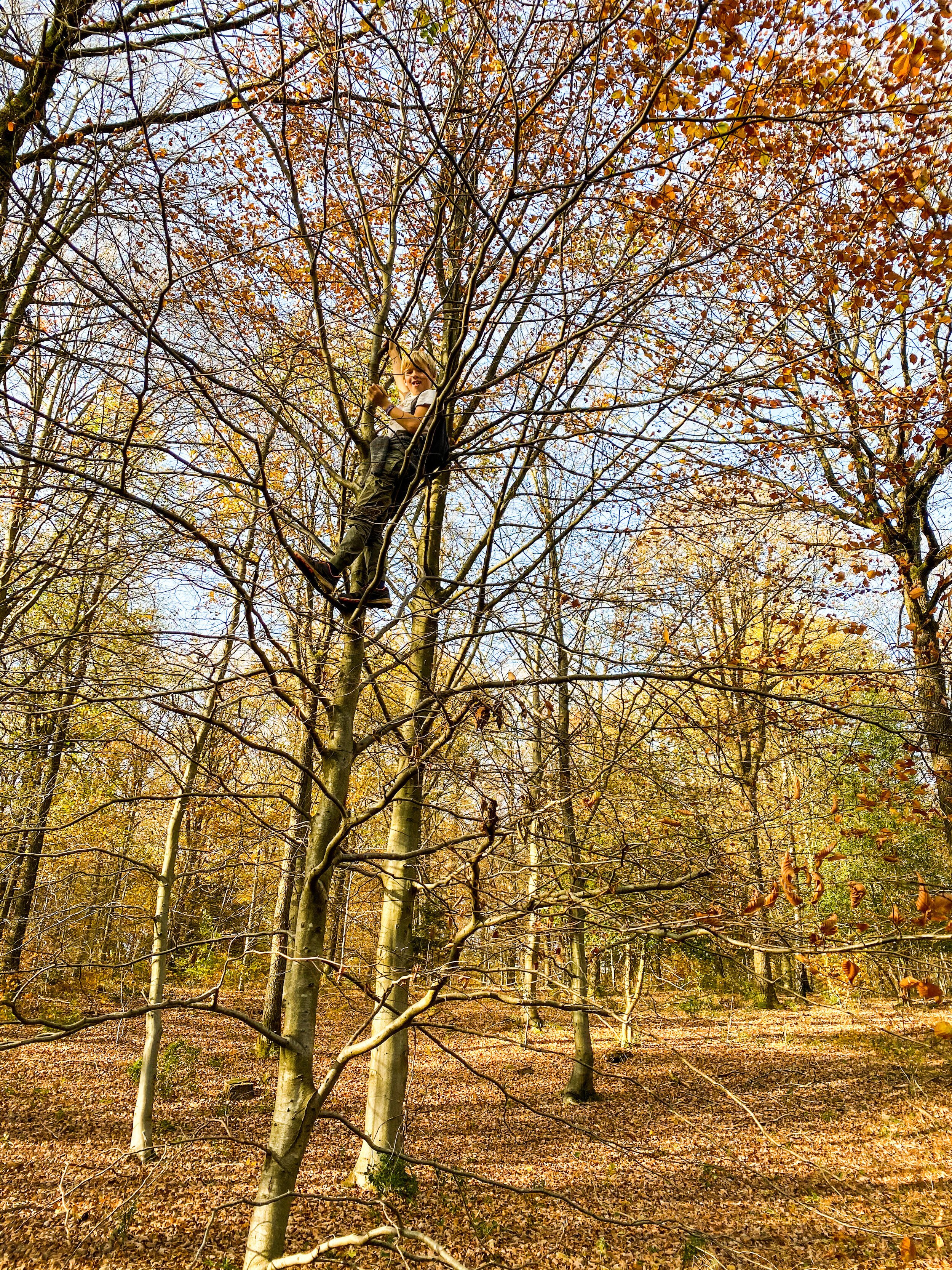 wandelen kinderen nonceveux.JPG