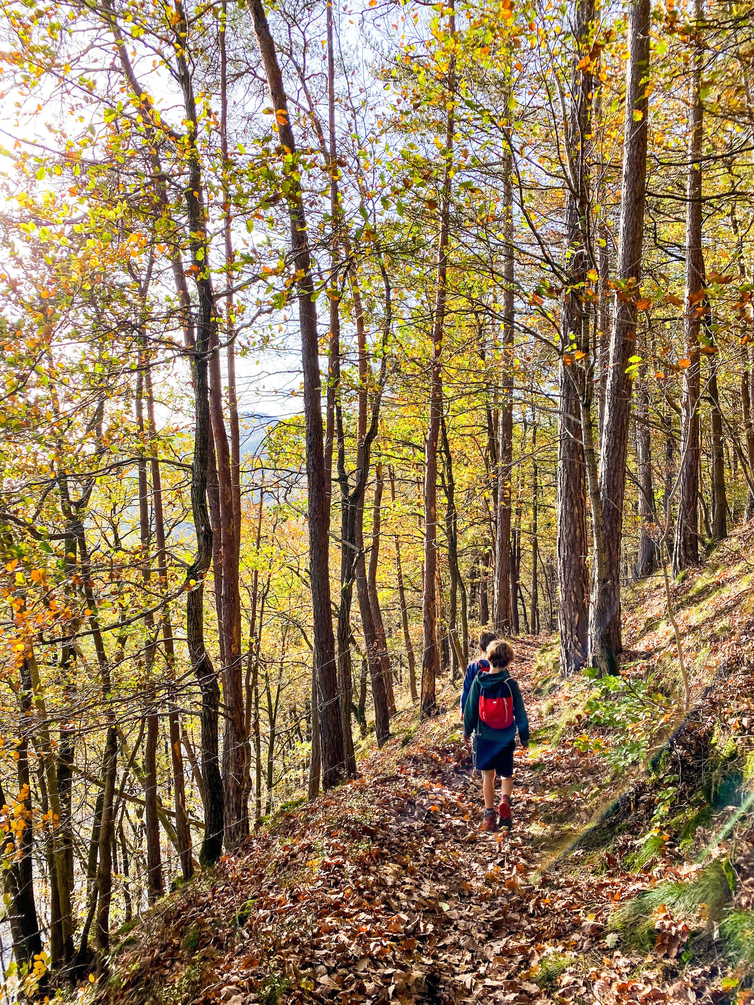 wandelen nonceveux.JPG