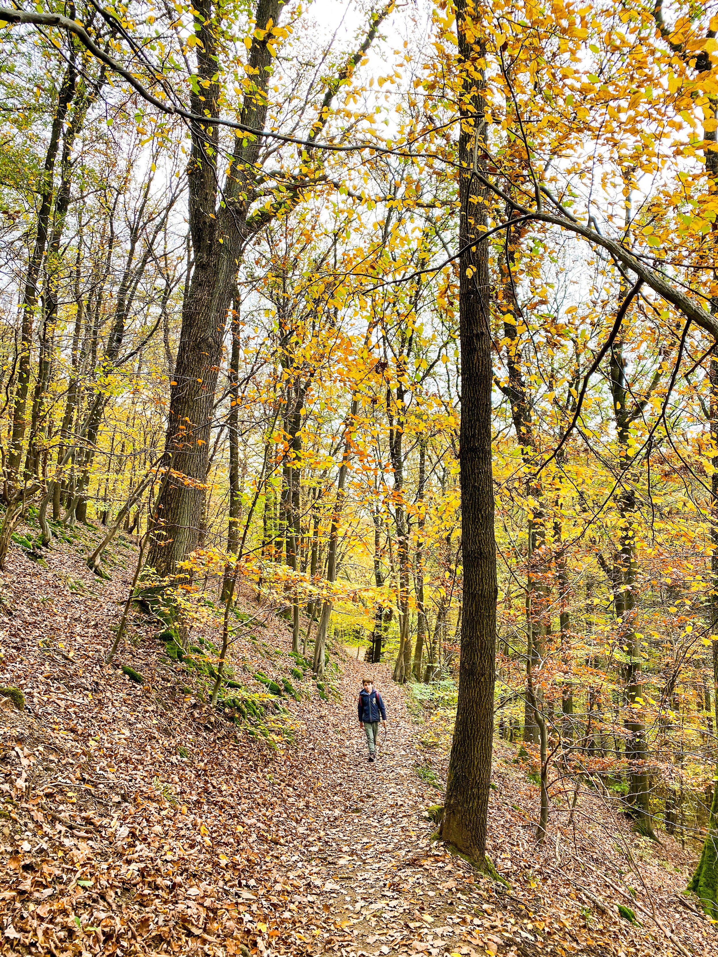 wandeling gileppe.JPG