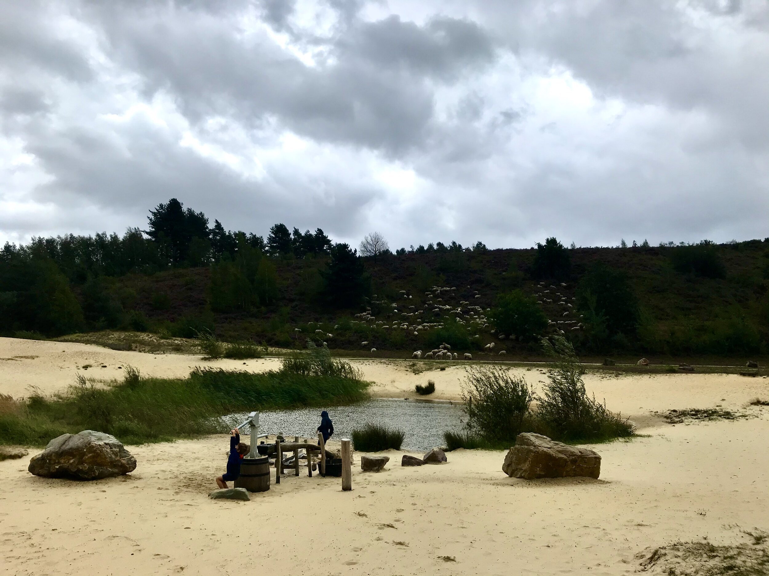 mechelse heide limburg