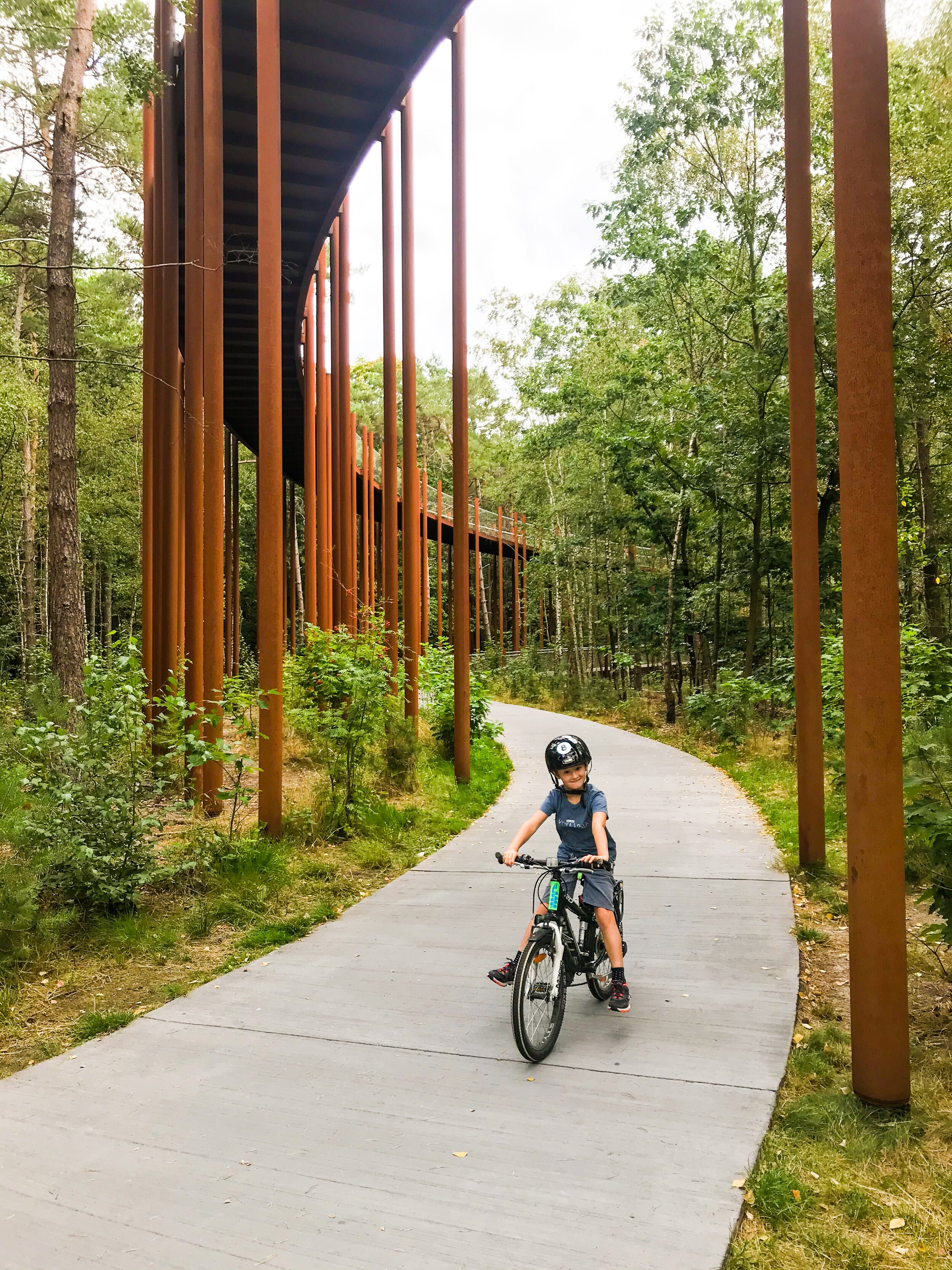 fietsen door de bomen