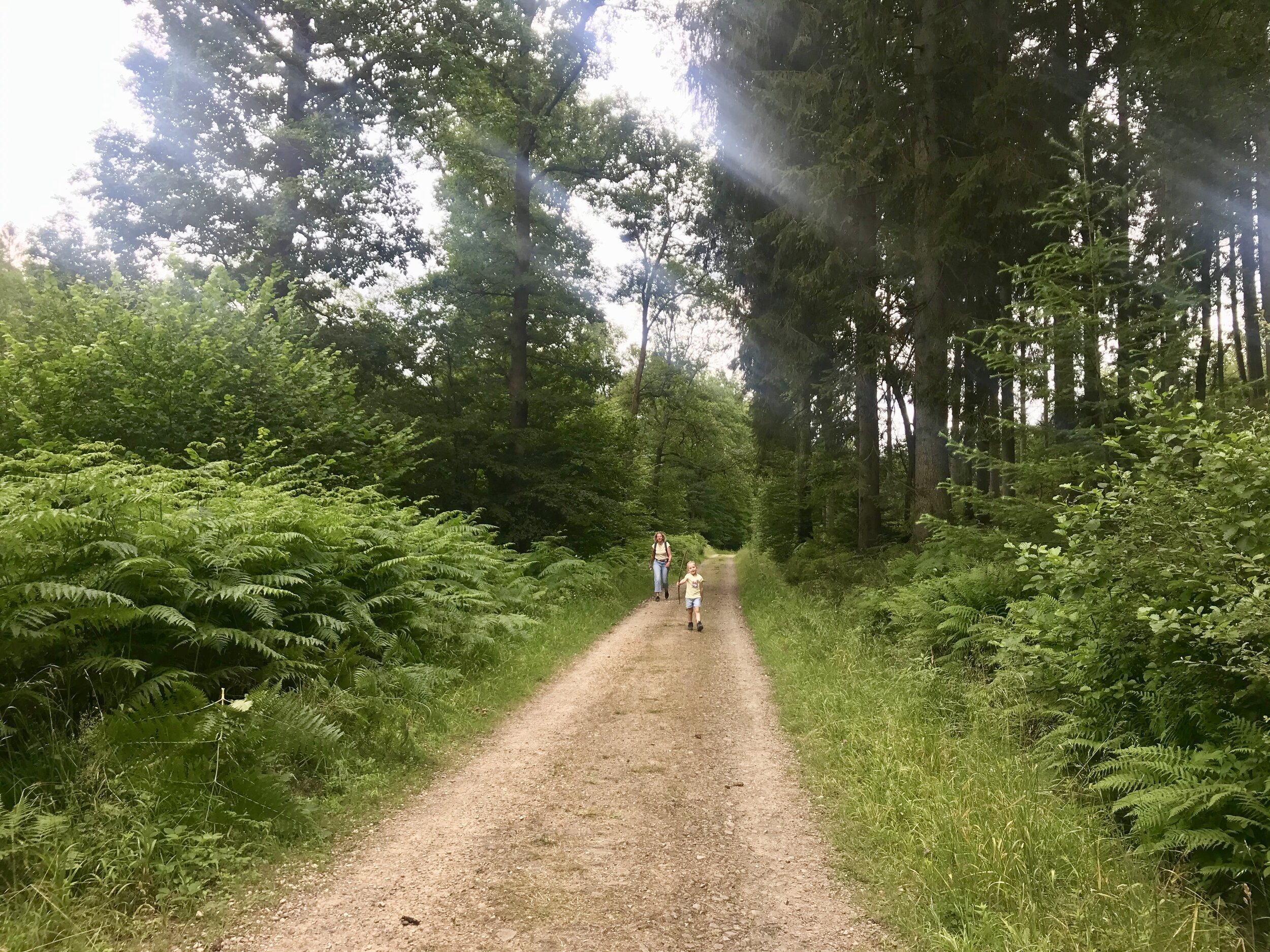 roche à l'appel wandeling