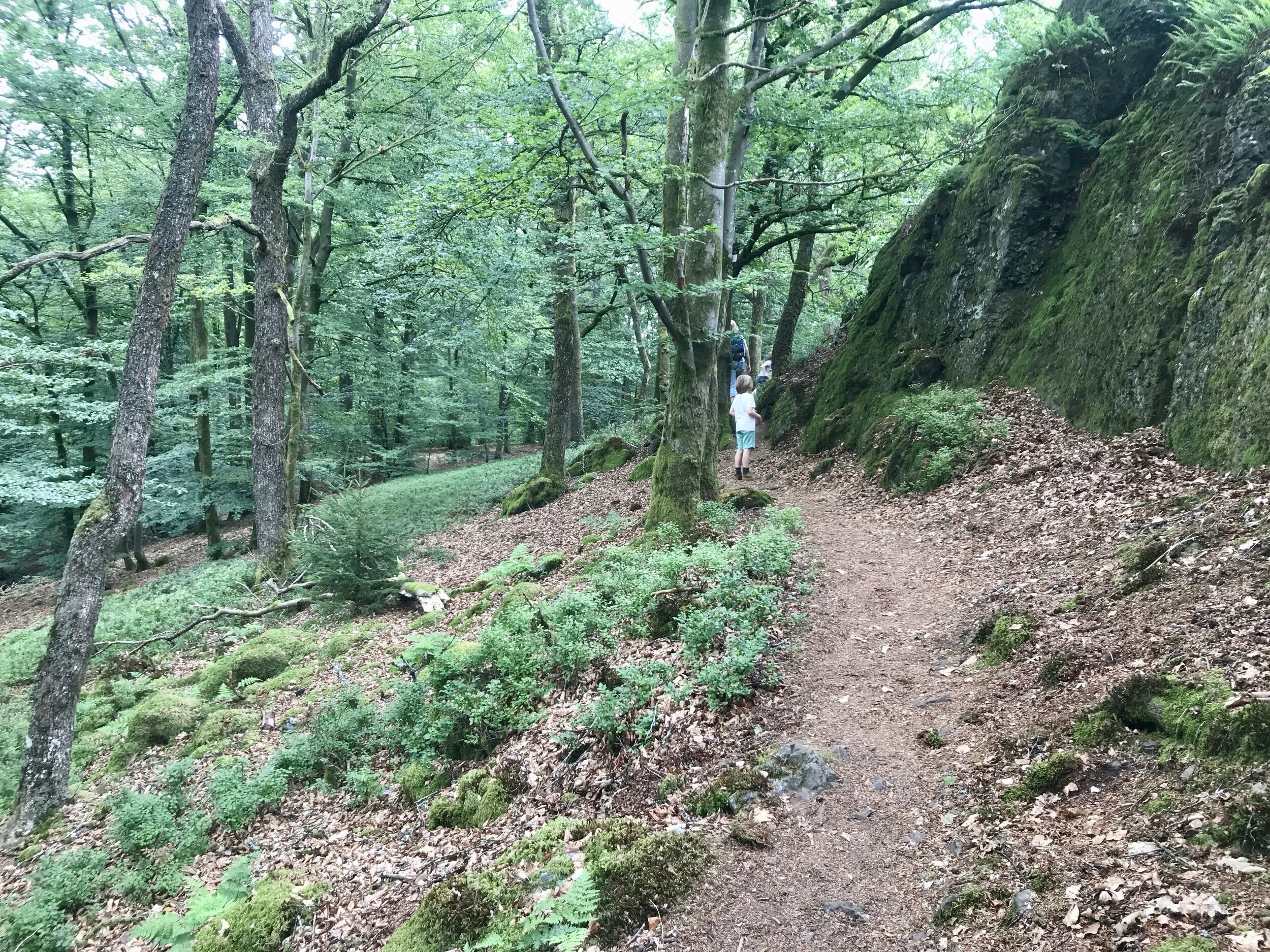 roche à l'appel wandeling bossen