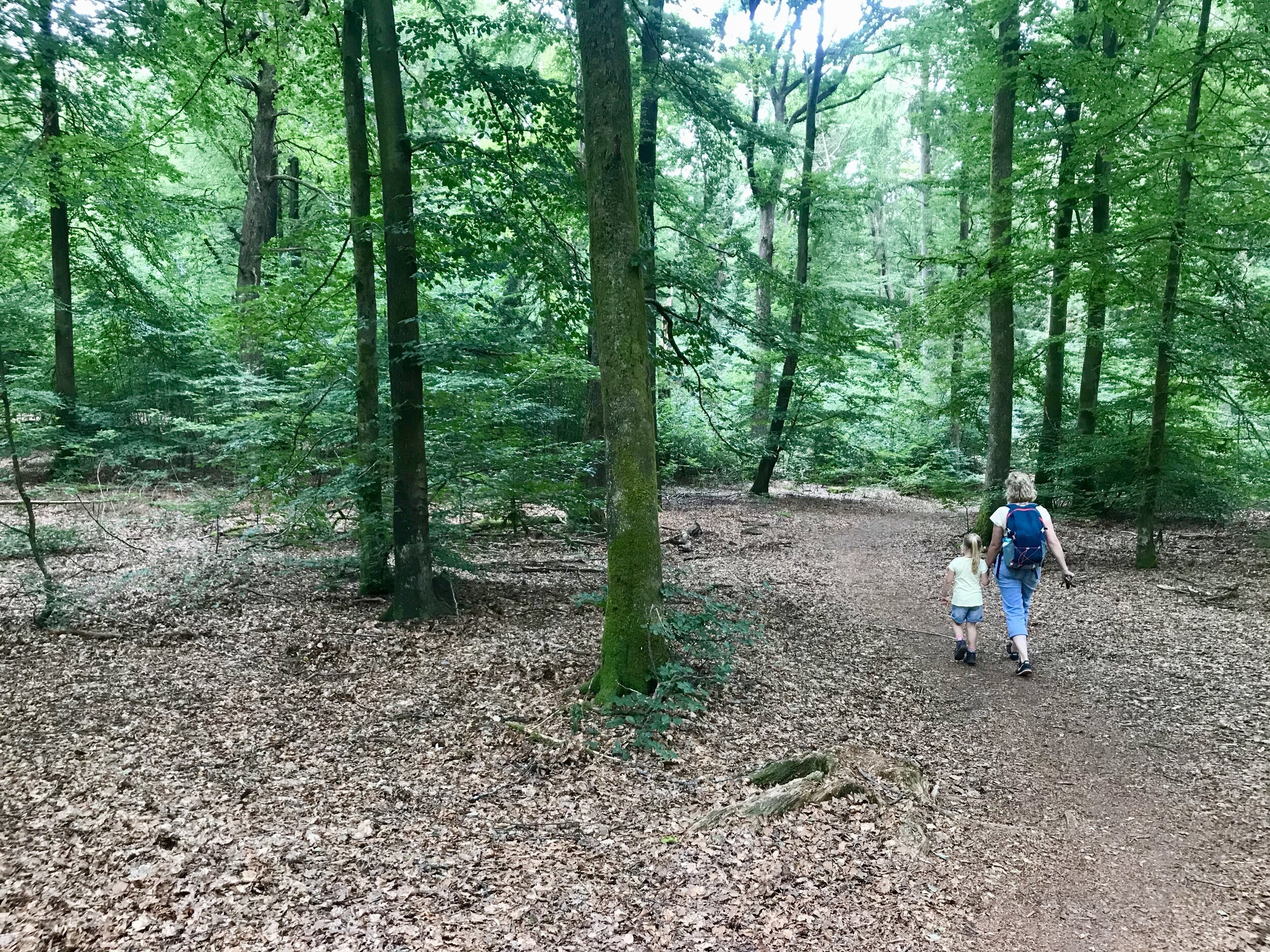 roche à l'appel wandelen bossen