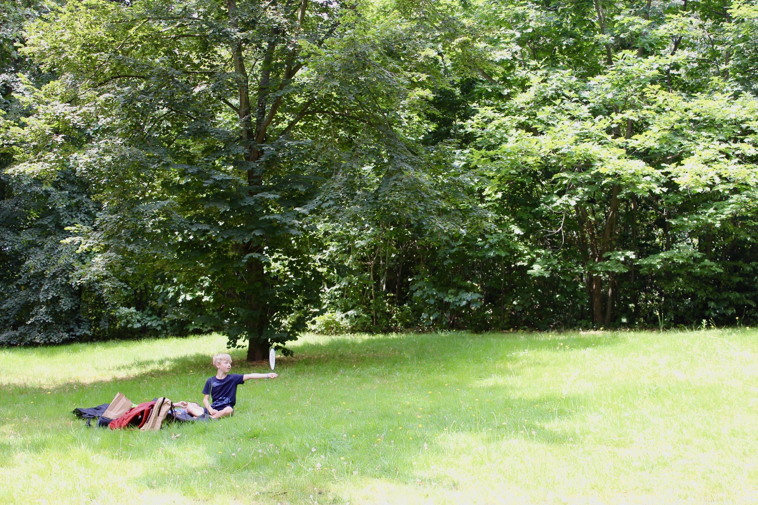 warandepark diest