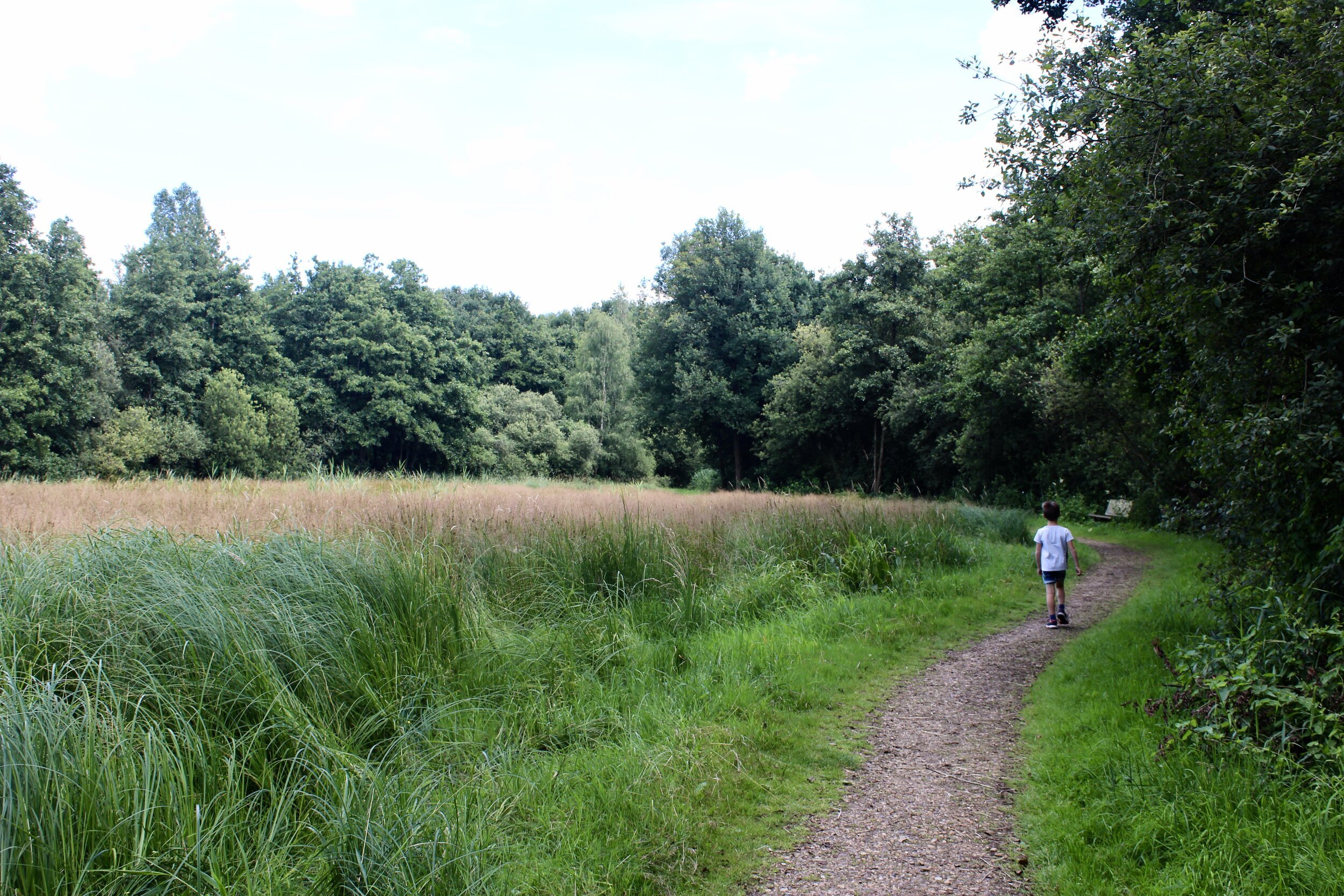 wandelen blaasveldbroek willebroek scheldeland