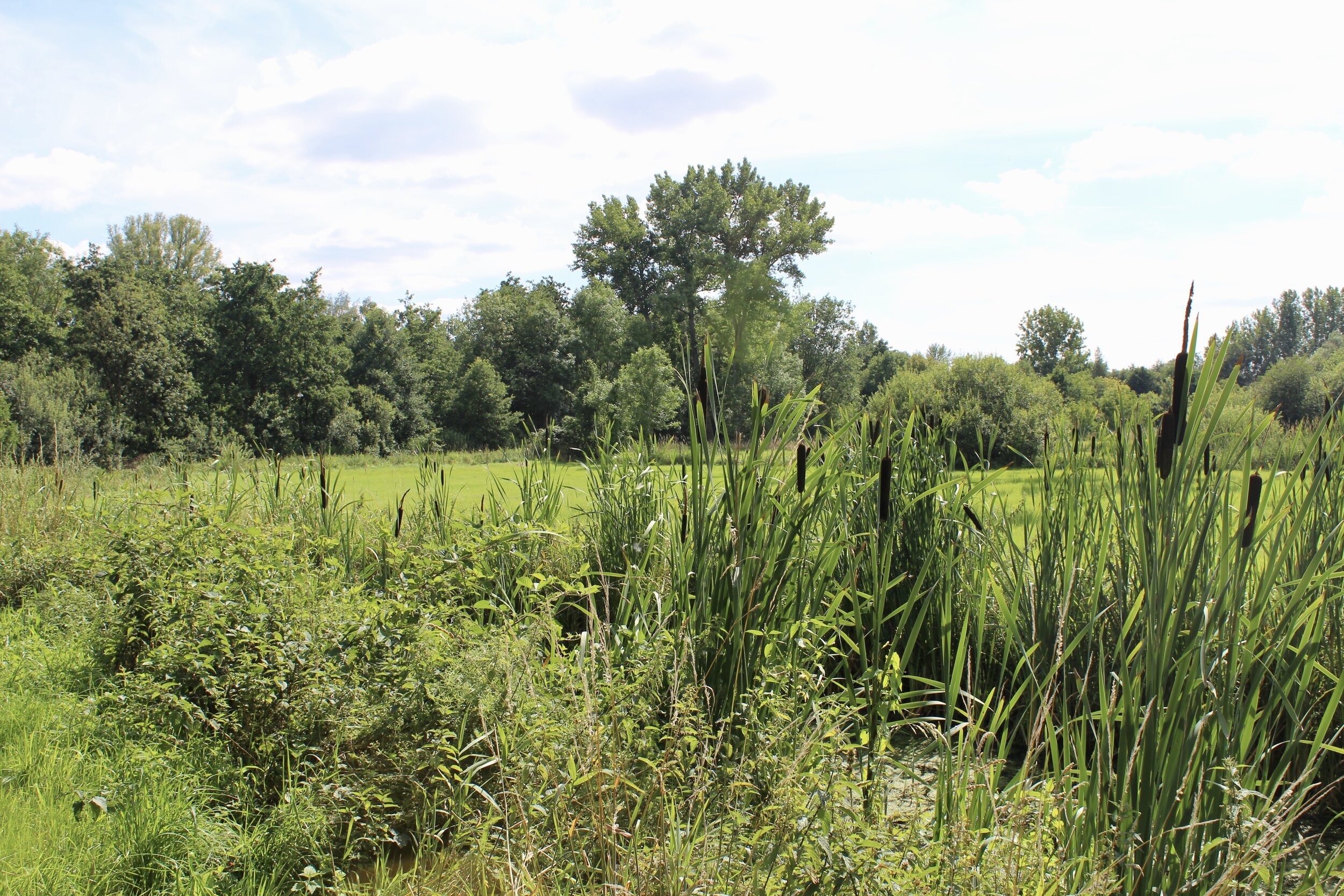 wandelen blaasveldbroek 