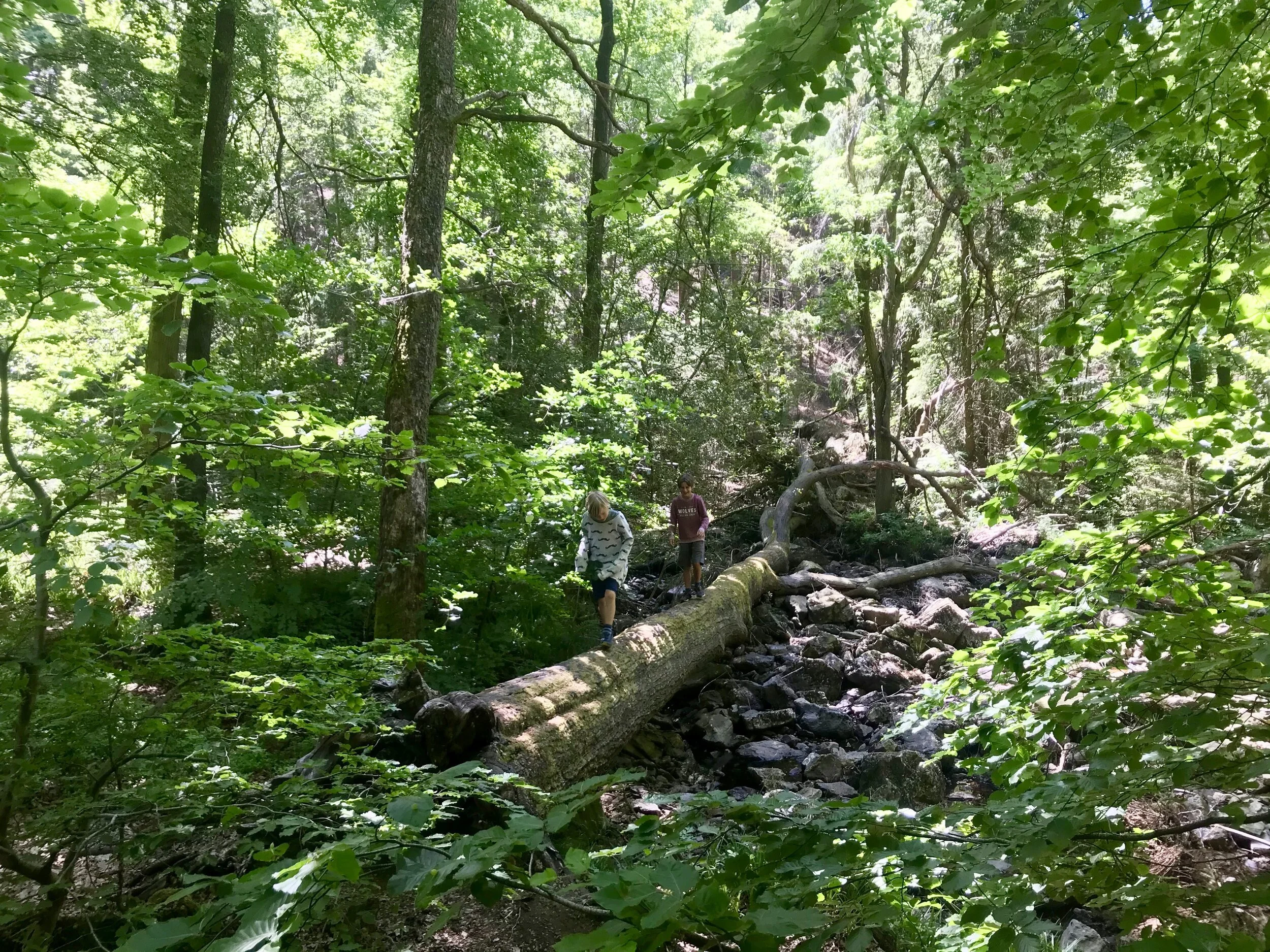 wandelen solwaster ardennen