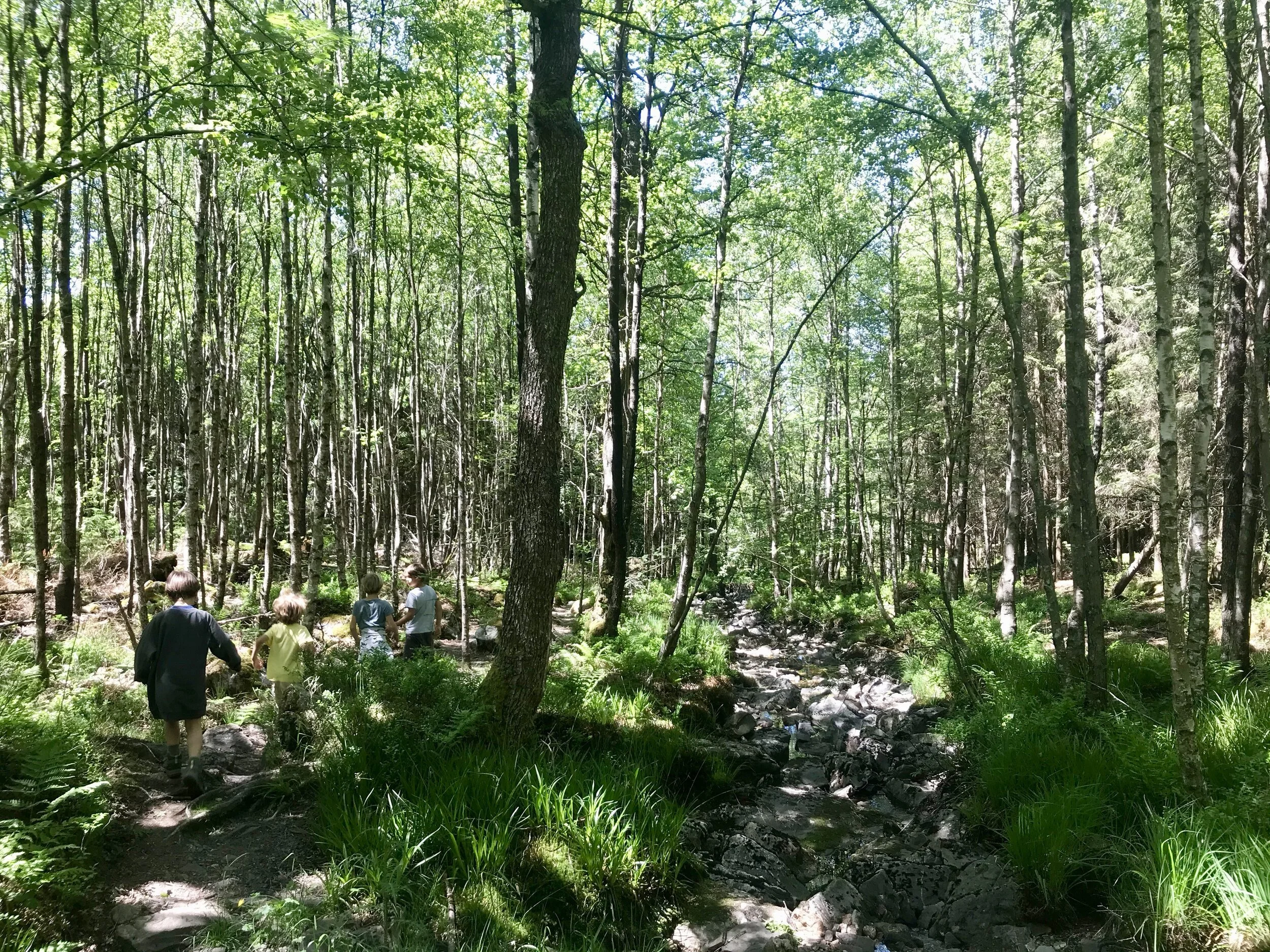 wandelen vallei van de statte