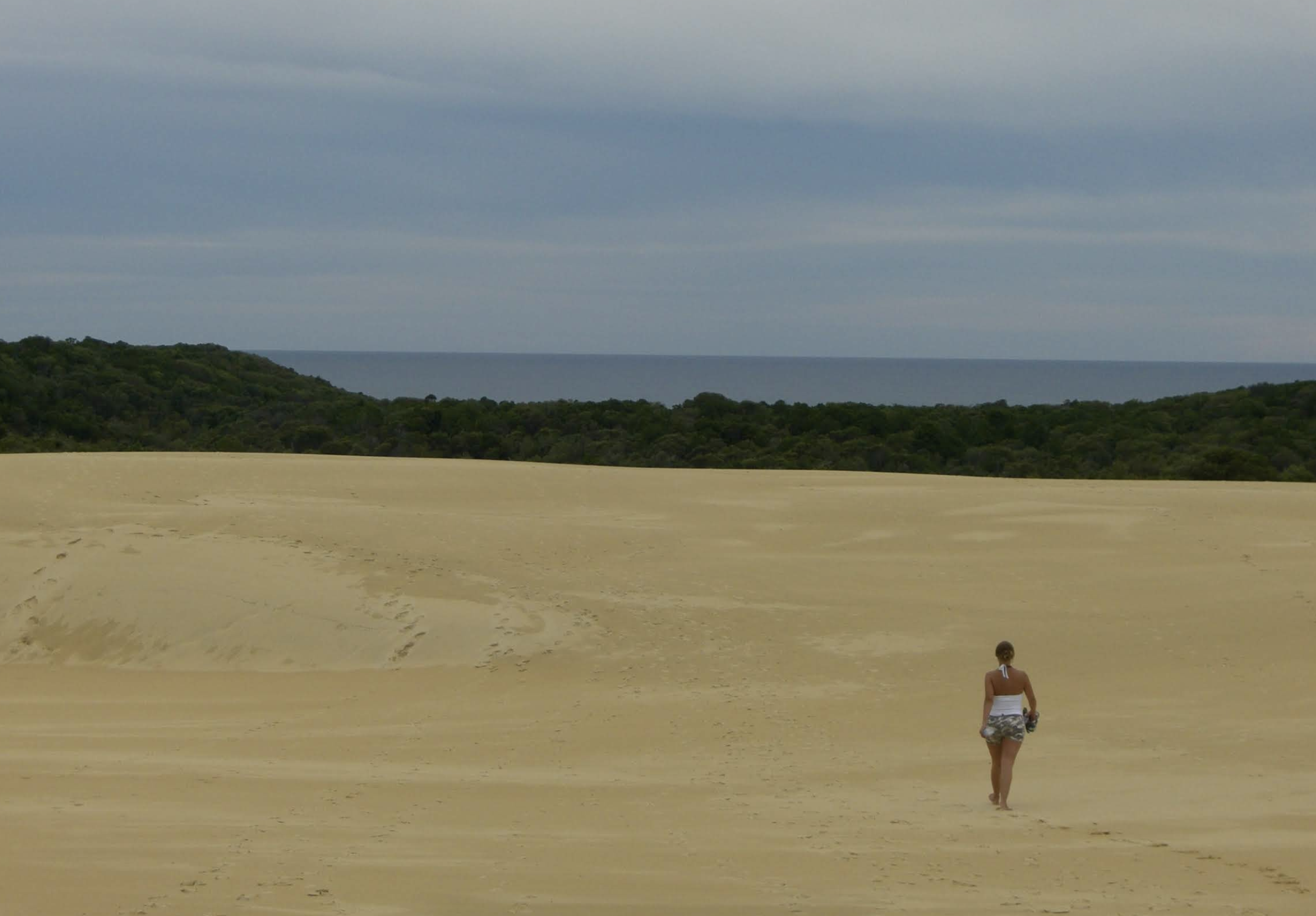 fraser island australia.png