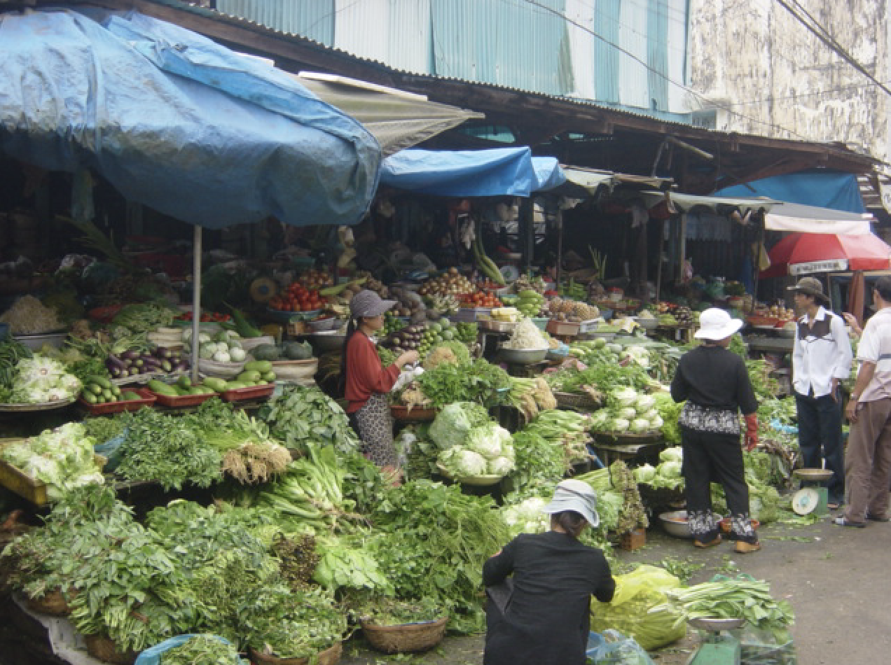 vietnam market.png