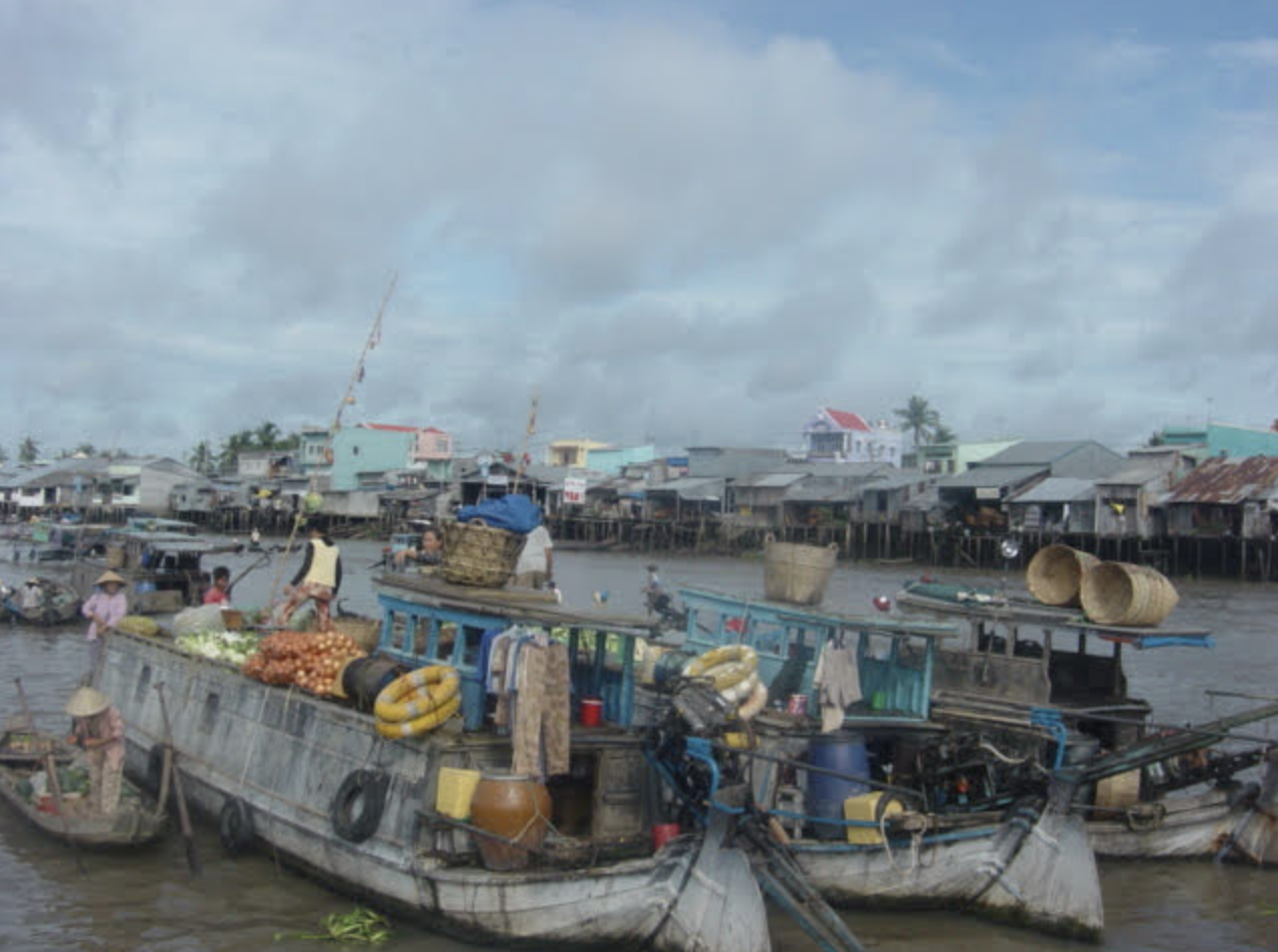 vietnam mekong delta.png