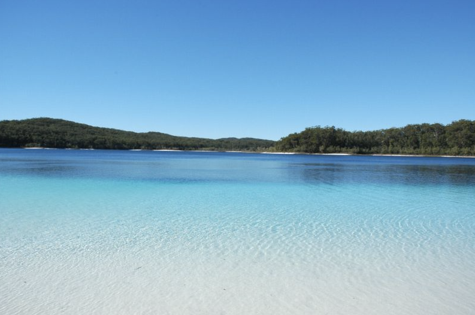 fraser island beach.png