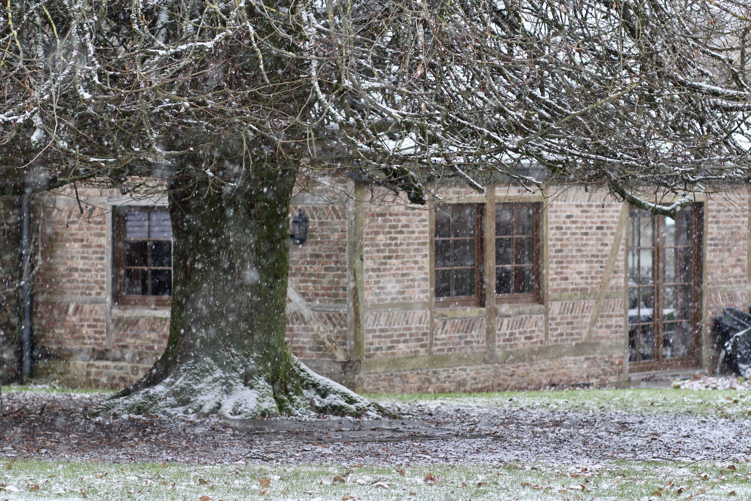 vakantiehuis redu ardennen