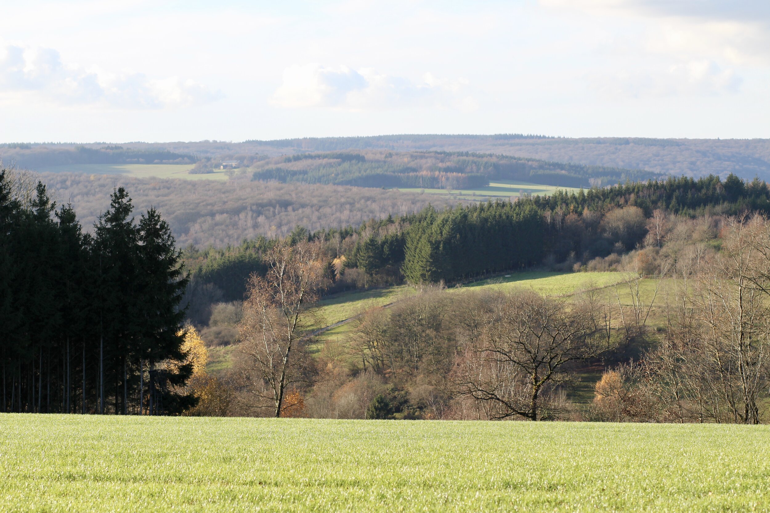 wandelen redu ardennen