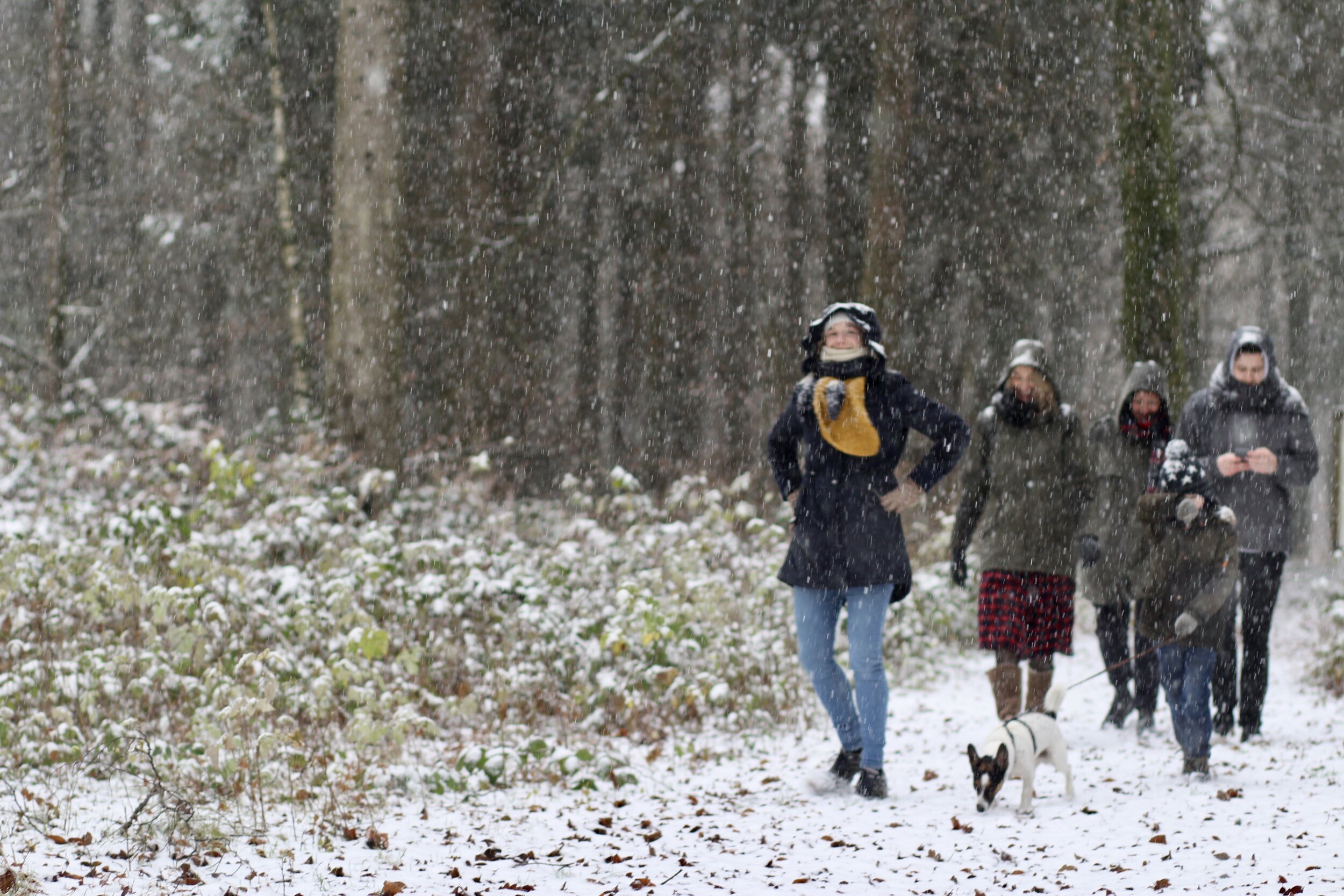 wandelen redu ardennen