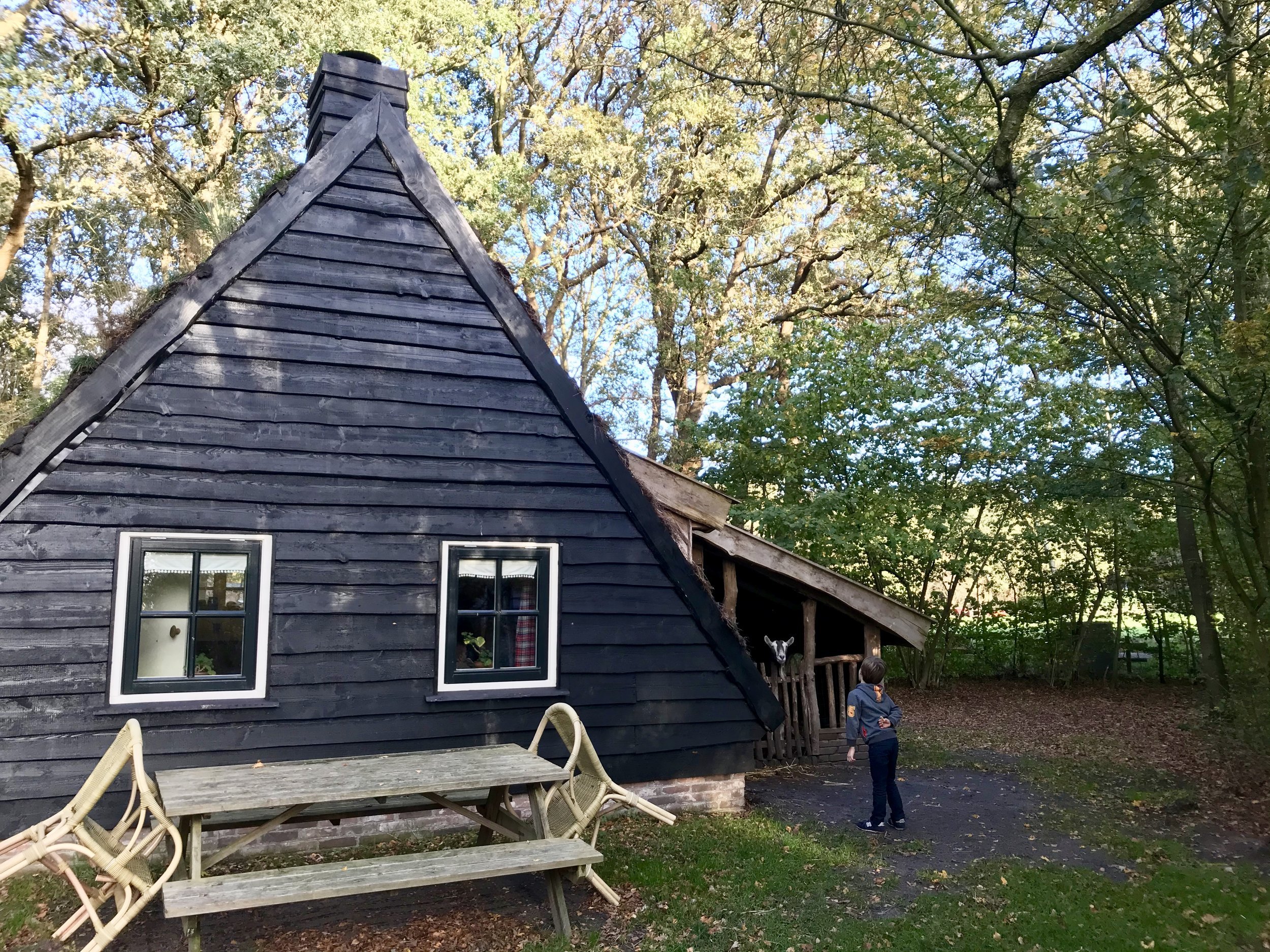 plaggenhut met geitjes olde kamp