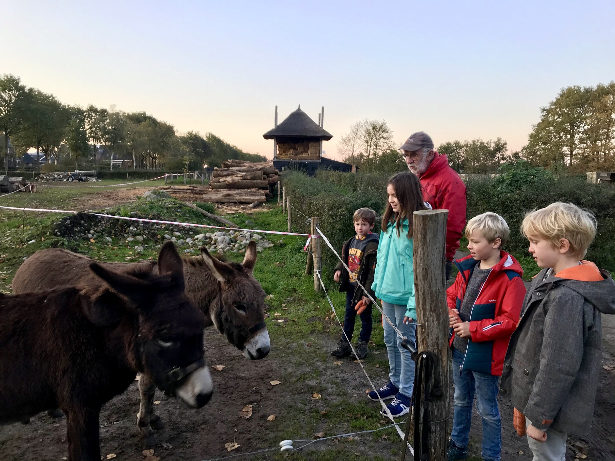 boerderijcamping olde kamp drenthe