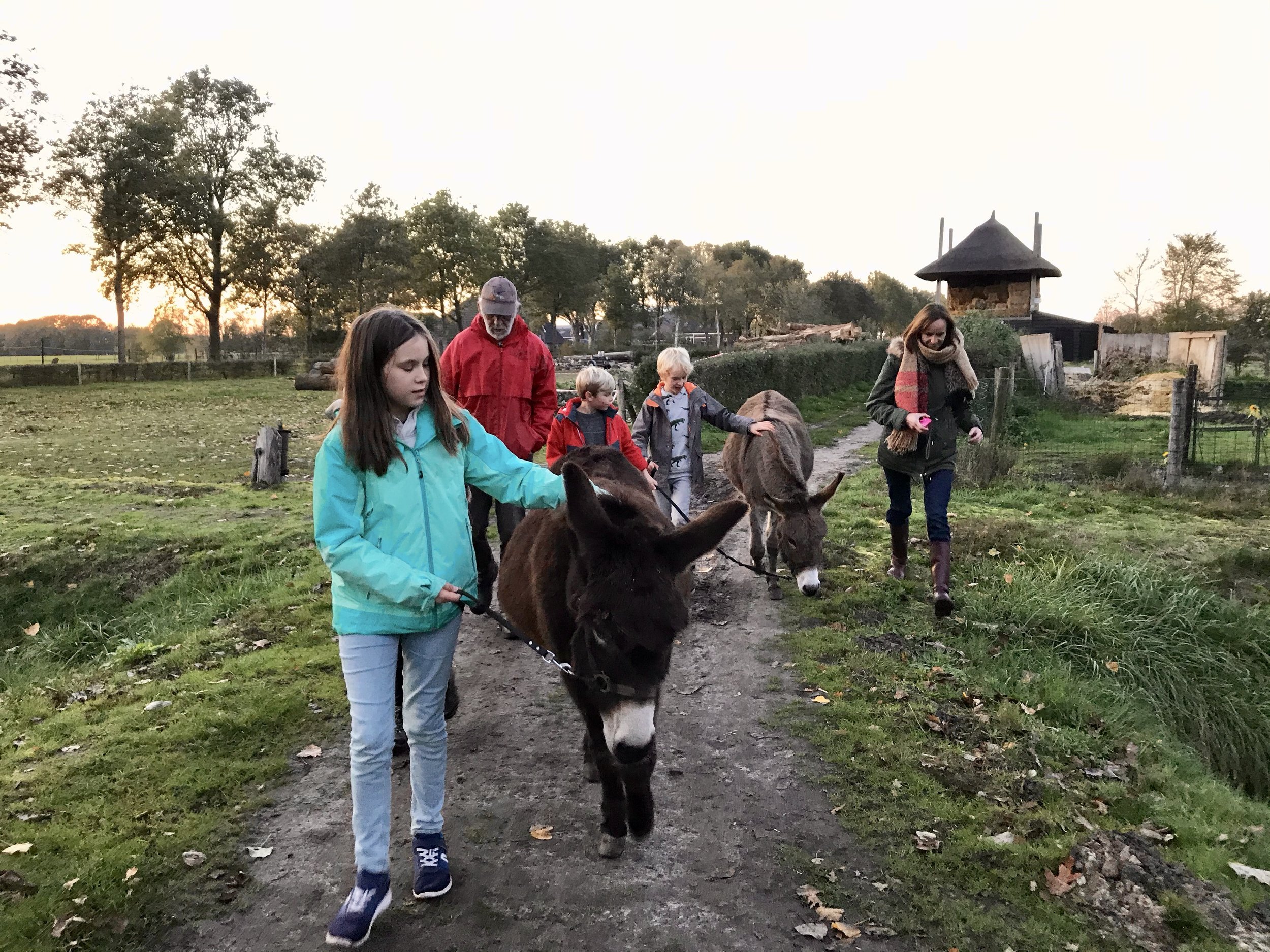 boerderijcamping olde kamp drenthe