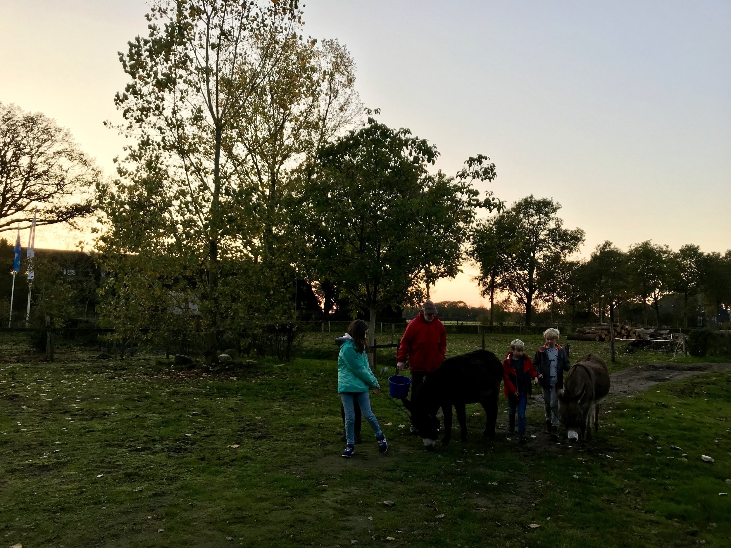 boerderijcamping olde kamp drenthe