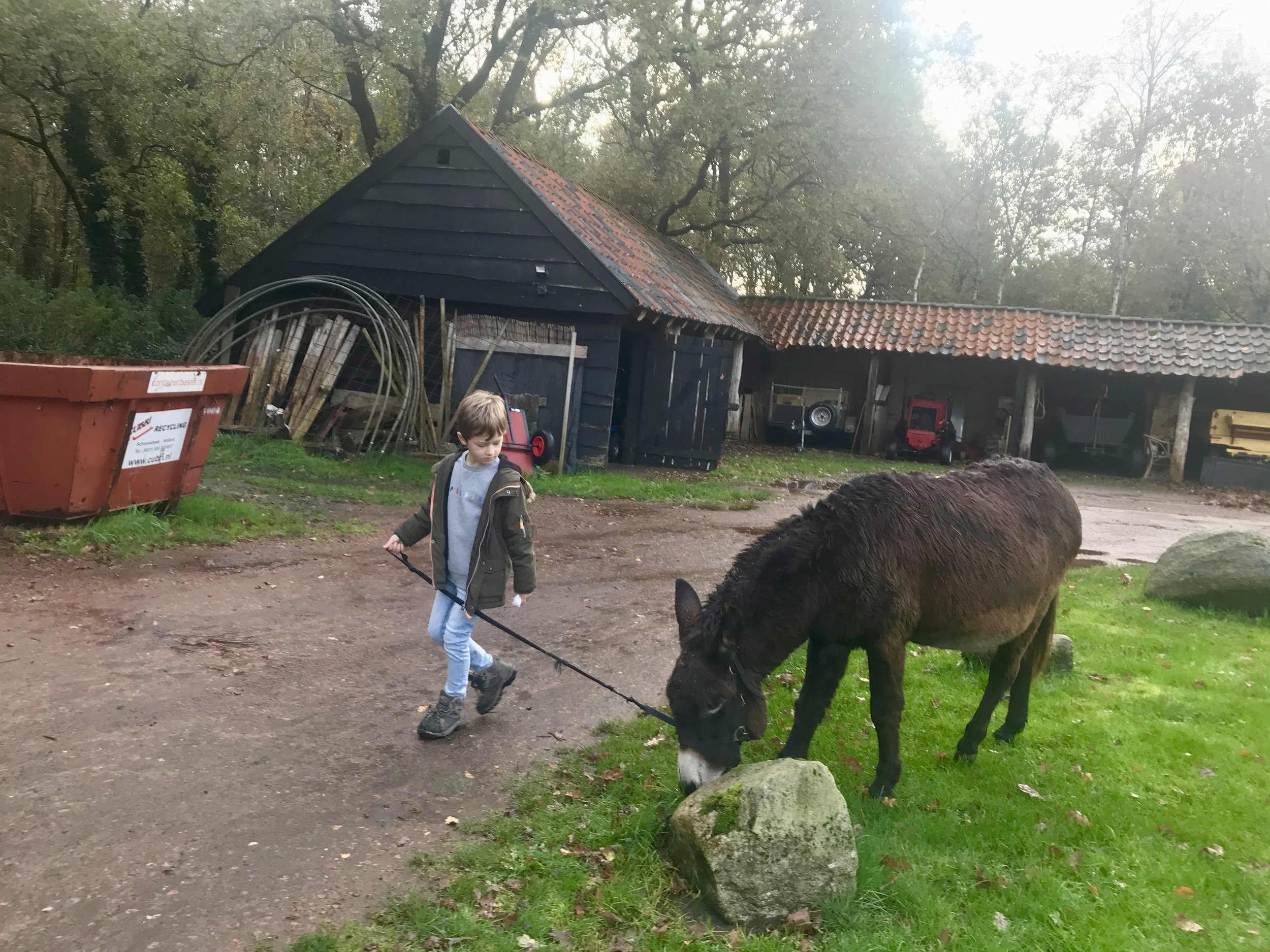 boerderijcamping drenthe