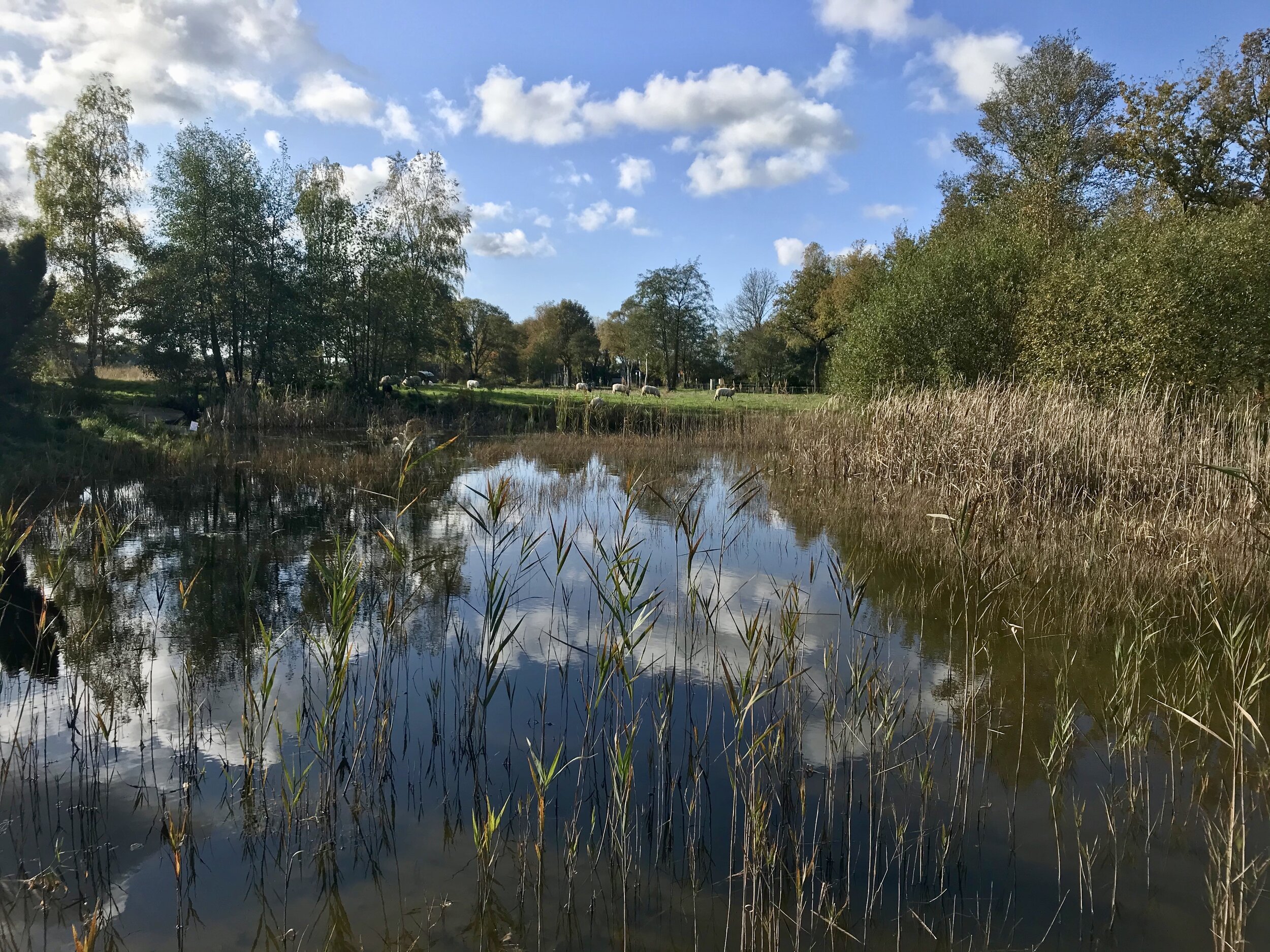 bezoekerscentrum nationaal park dwingelderveld