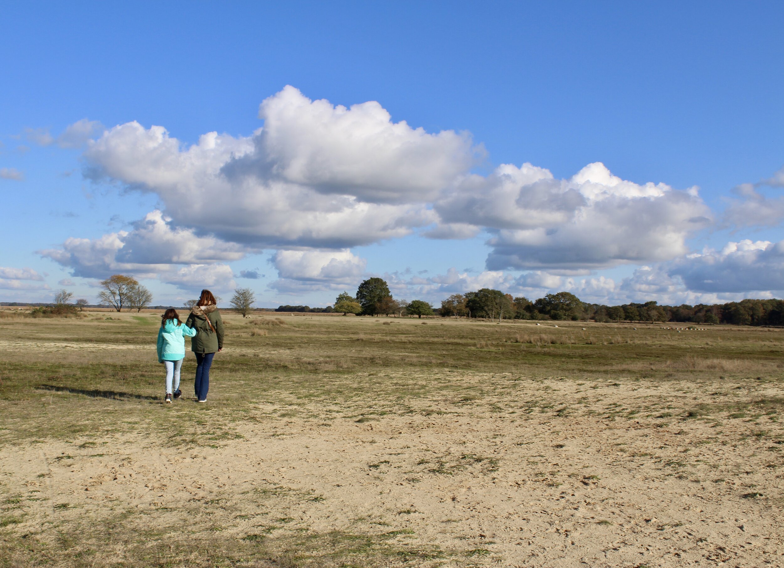 nationaal park dwingelderveld drenthe wandelroute