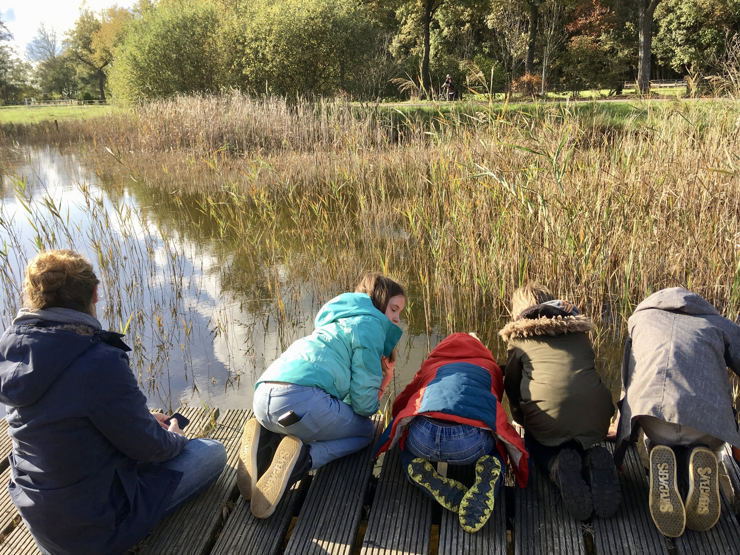 nationaal park dwingelderveld drenthe 