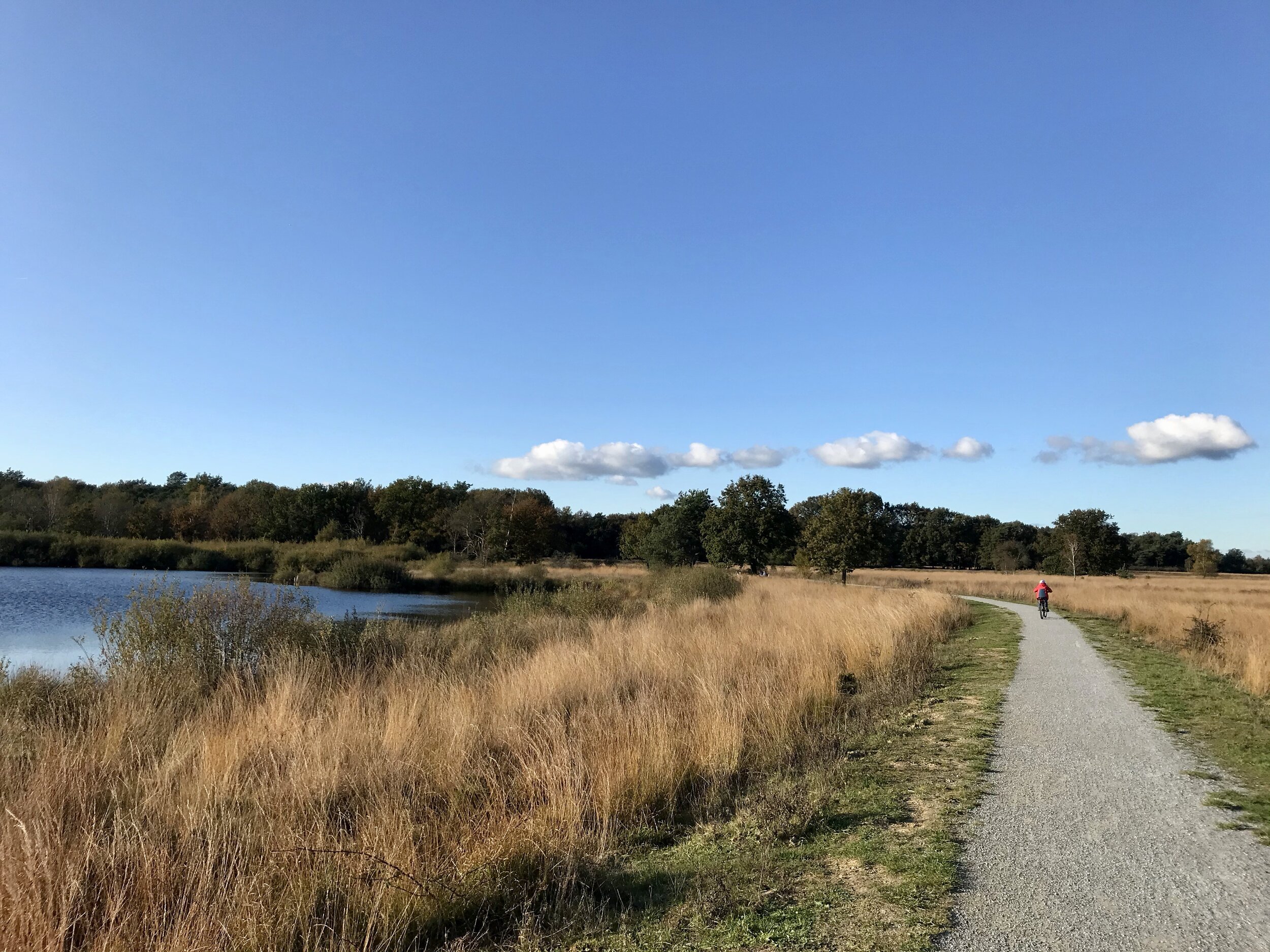 nationaal park dwingelderveld drenthe fietsen