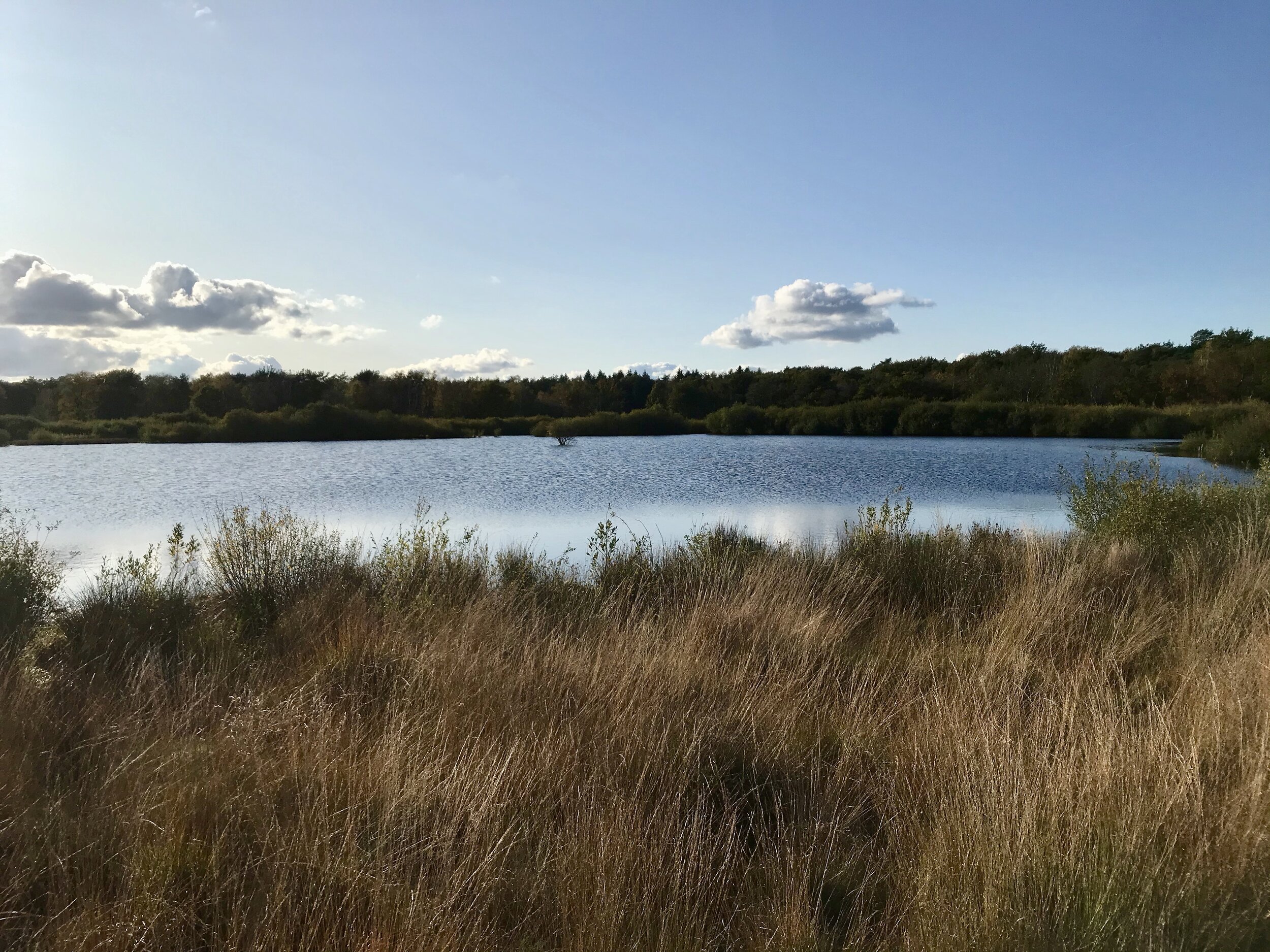 nationaal park dwingelderveld drenthe fietsroute