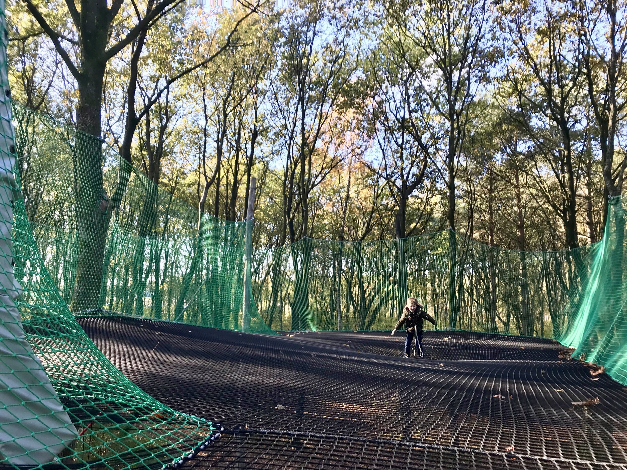 joytime klimpark drenthe trampoline in de bomen