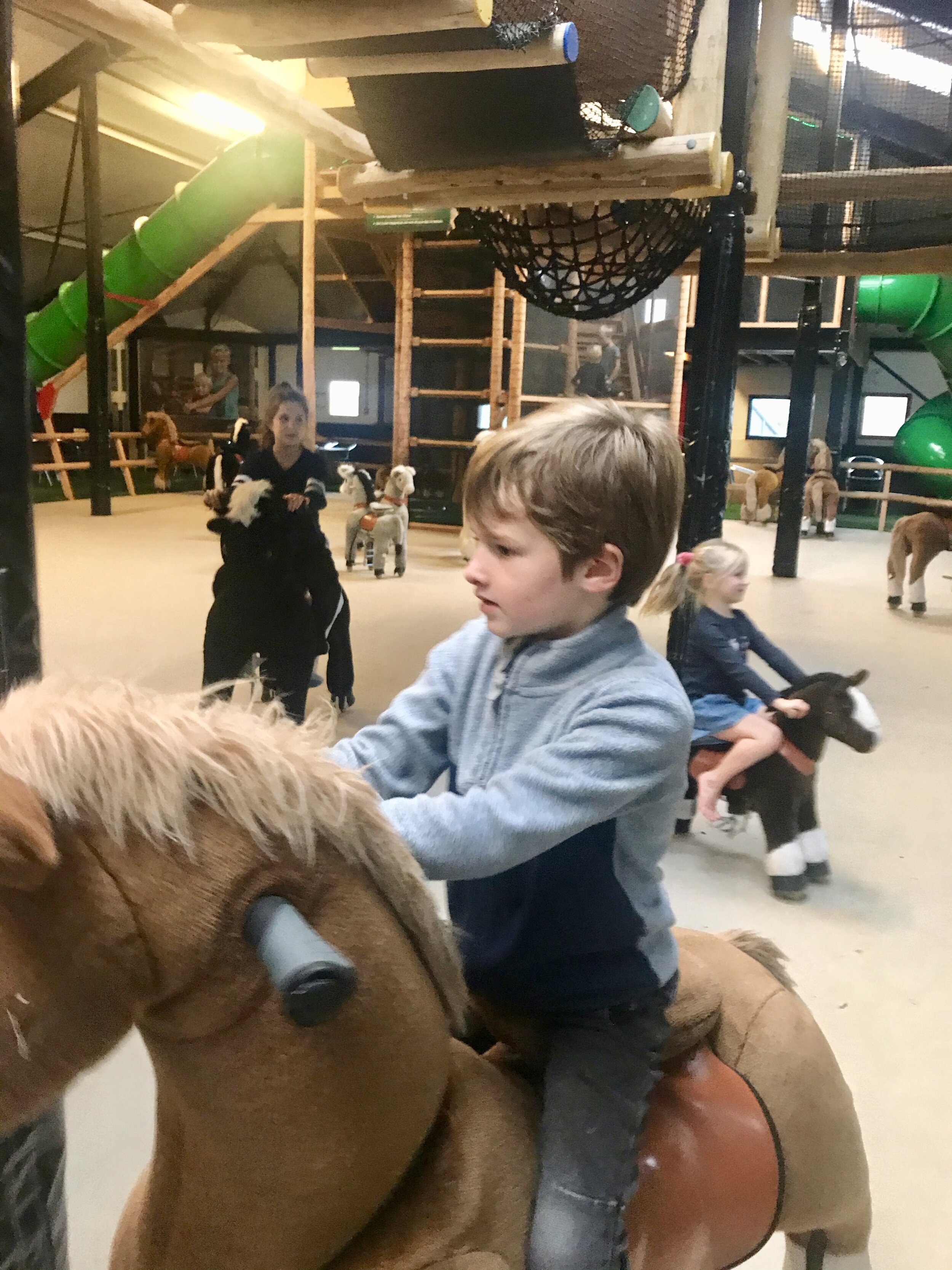 speelboerderij de drentse koe pony