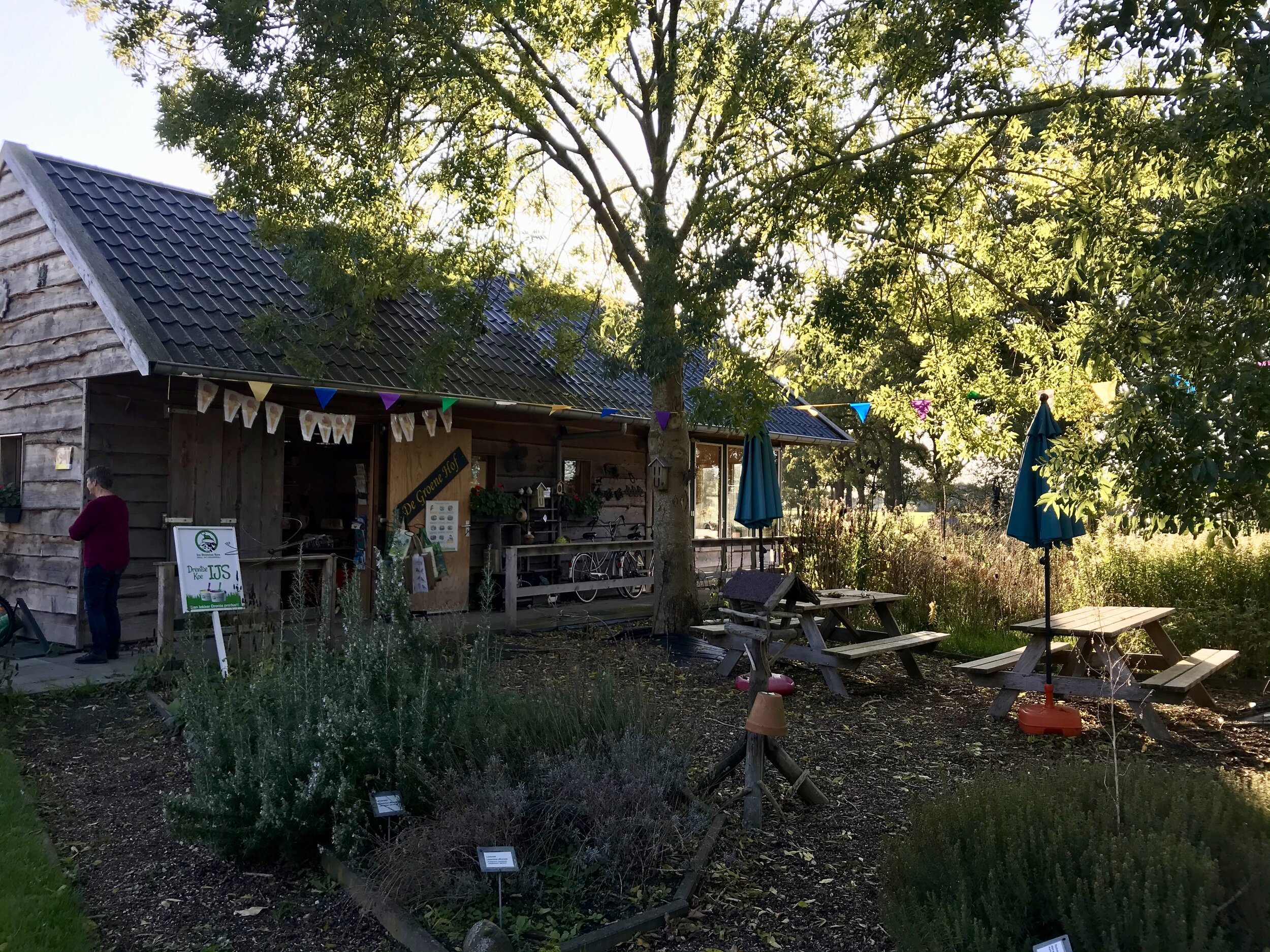 kruidentuin het groene hof drenthe