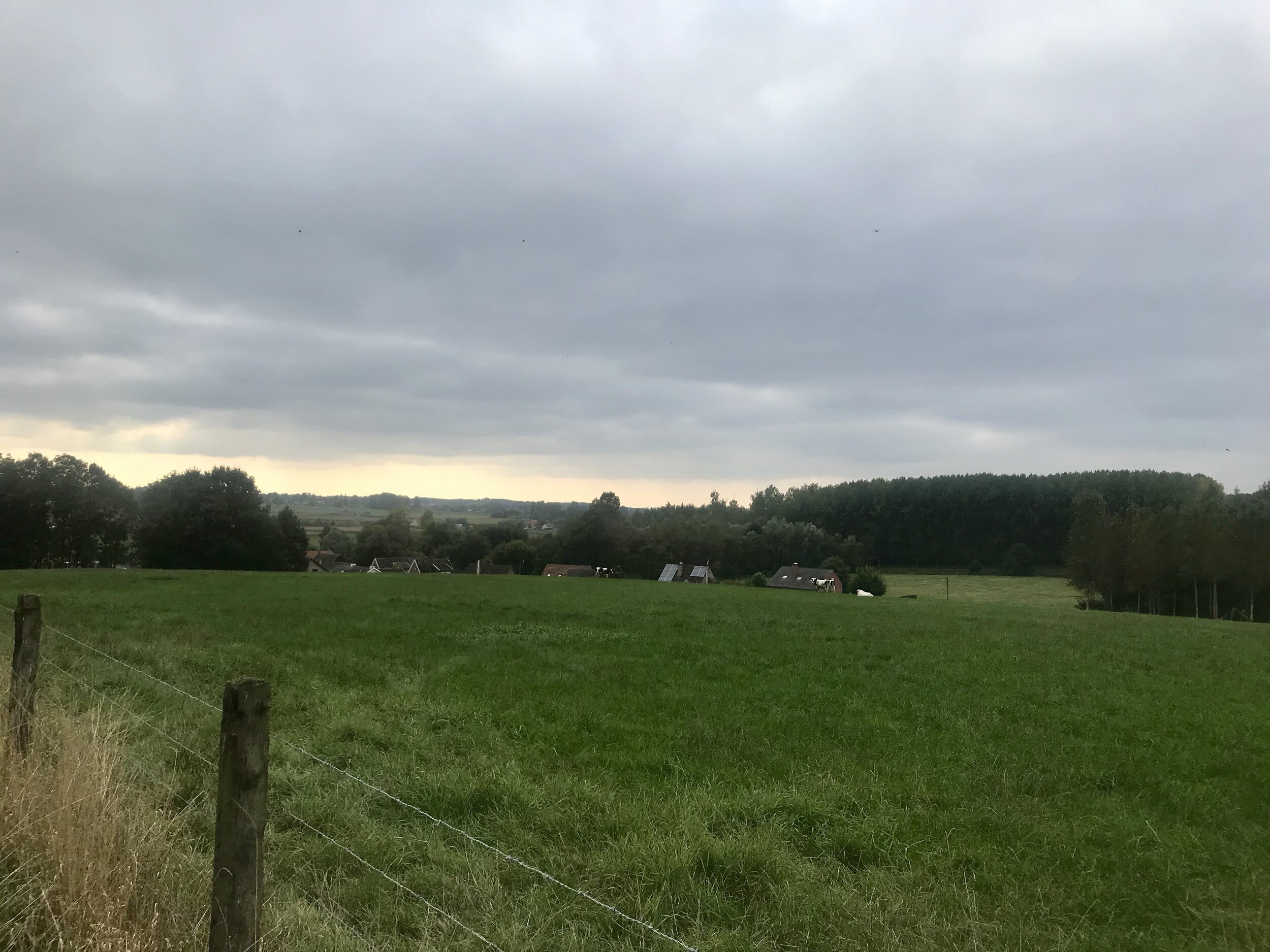 panorama zwalmvallei vlaamse ardennen