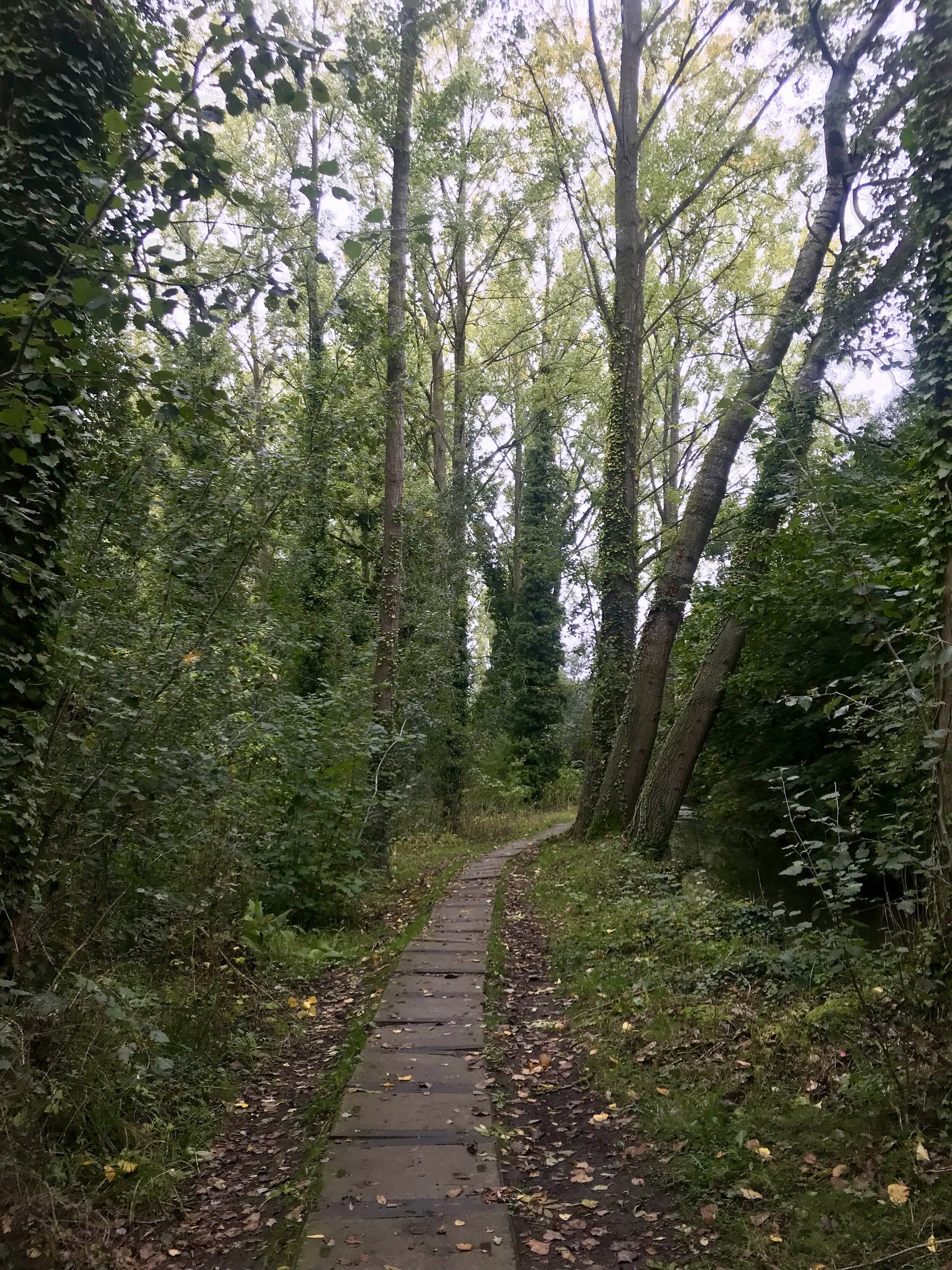 gourmand route vlaamse ardennen