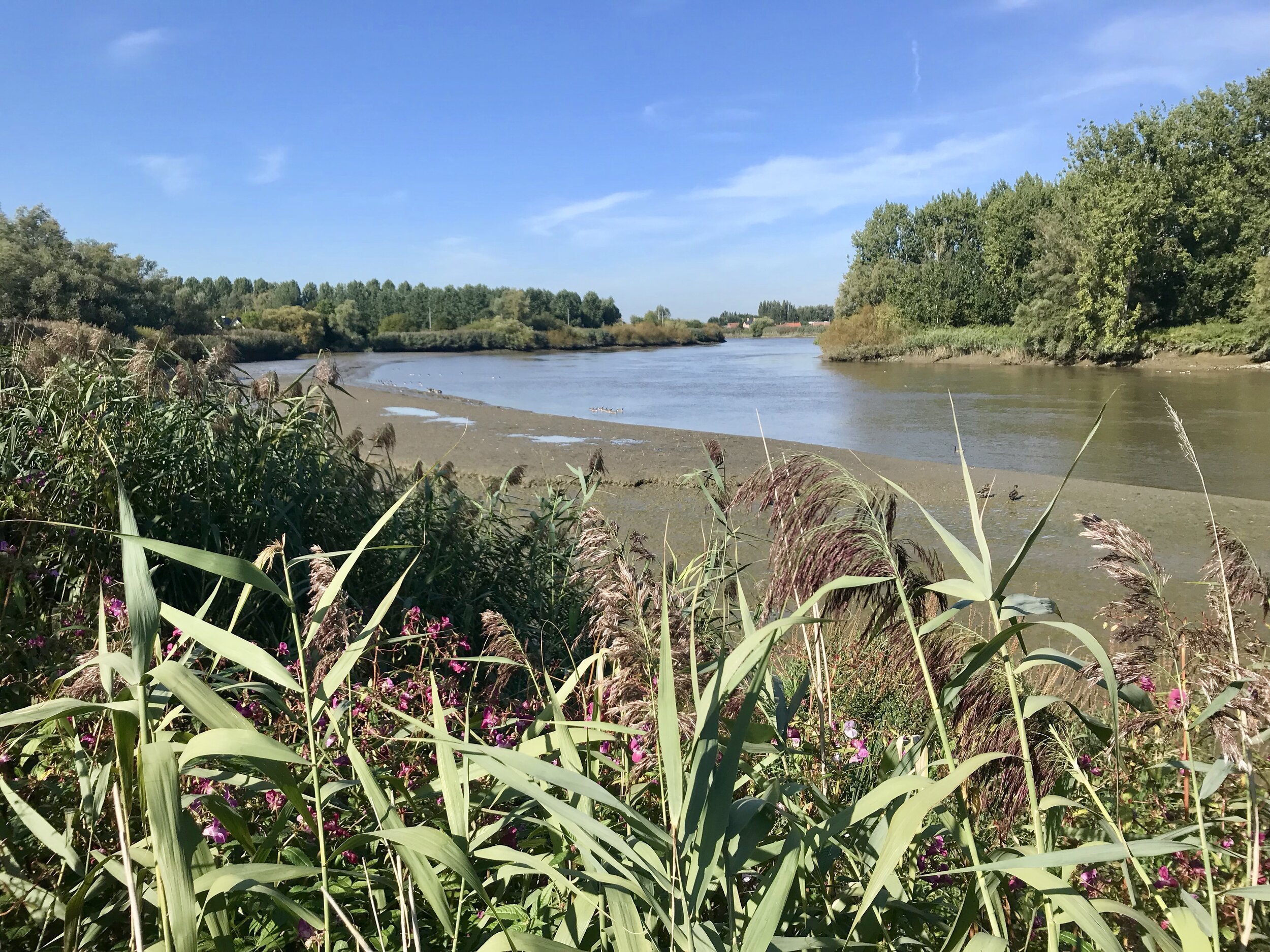 schelde oost-vlaanderen